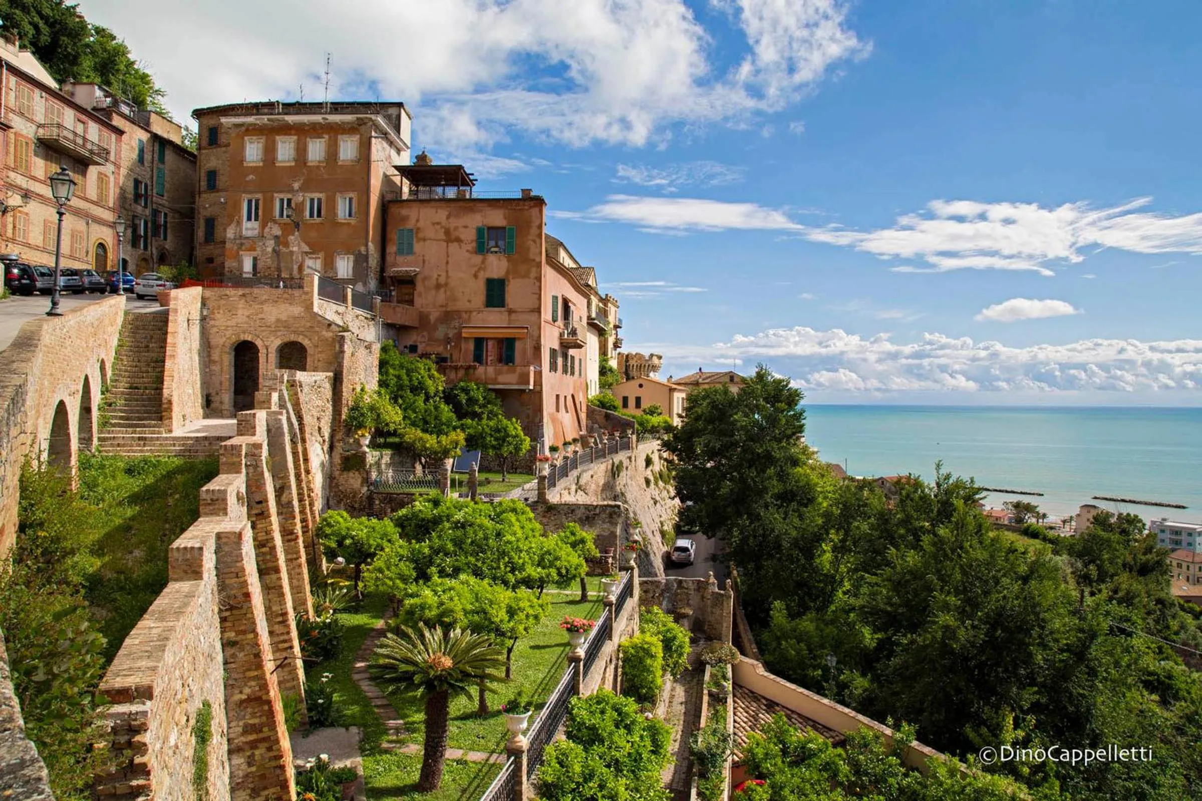 Natural landscape in Hotel Ambassador