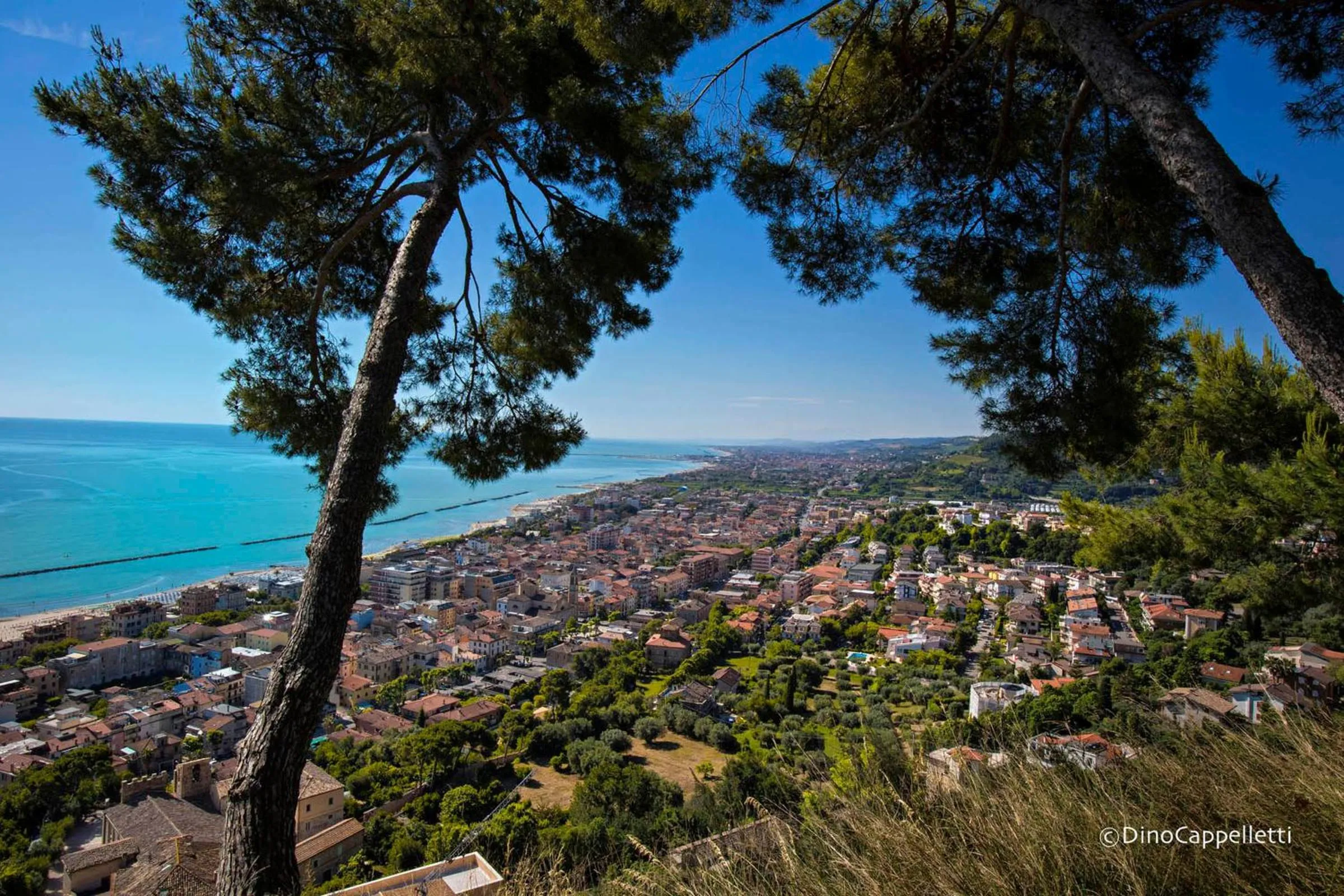 Natural landscape in Hotel Ambassador