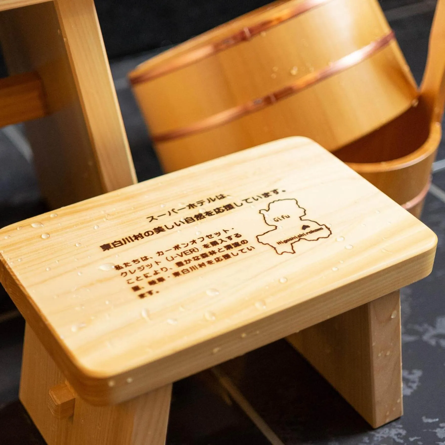 Super Hotel Fuji Inter