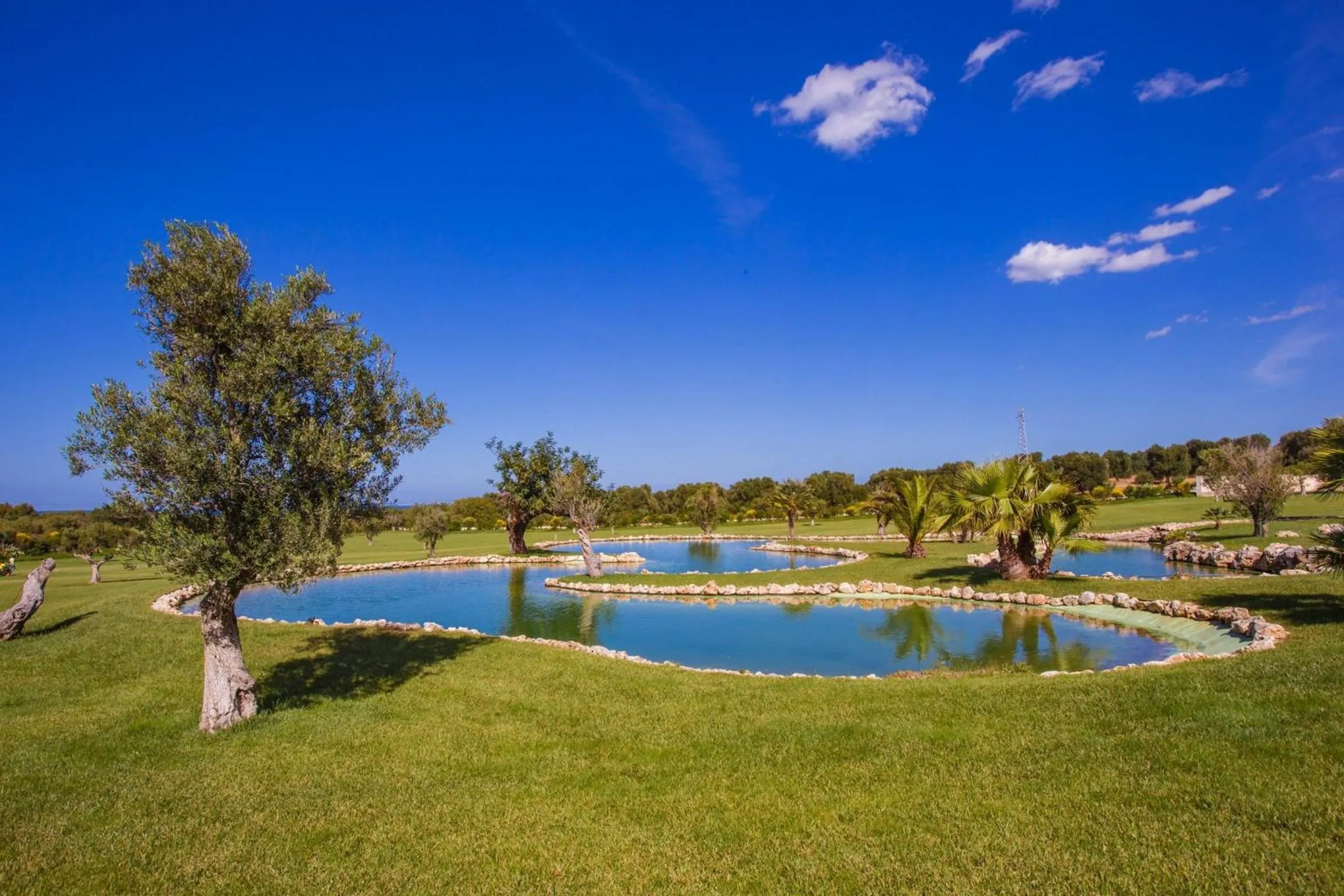 Day in Relais Masseria Caselli