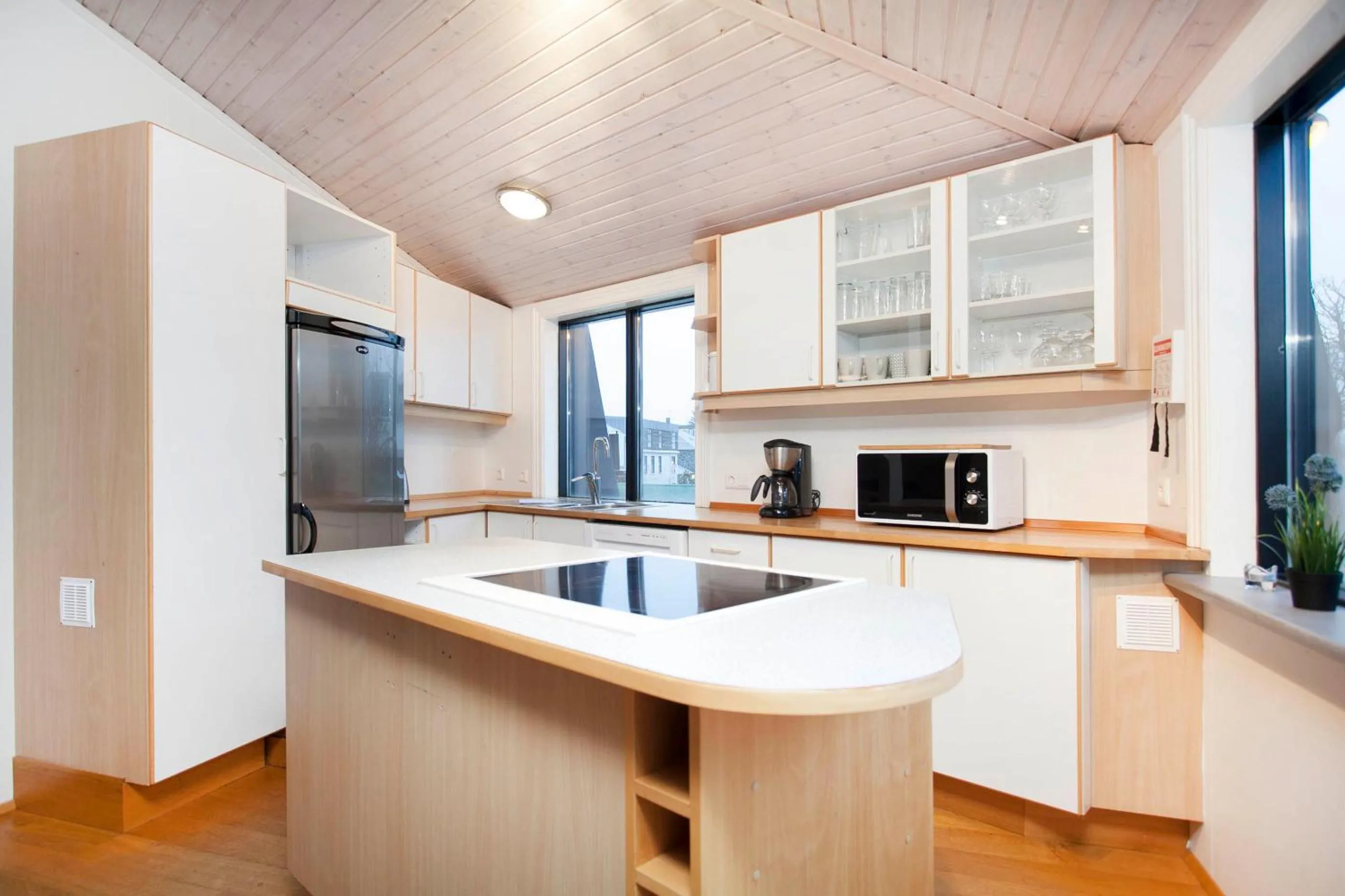 Kitchen or kitchenette in Odinn Reykjavik Skolavordustigur Apartments