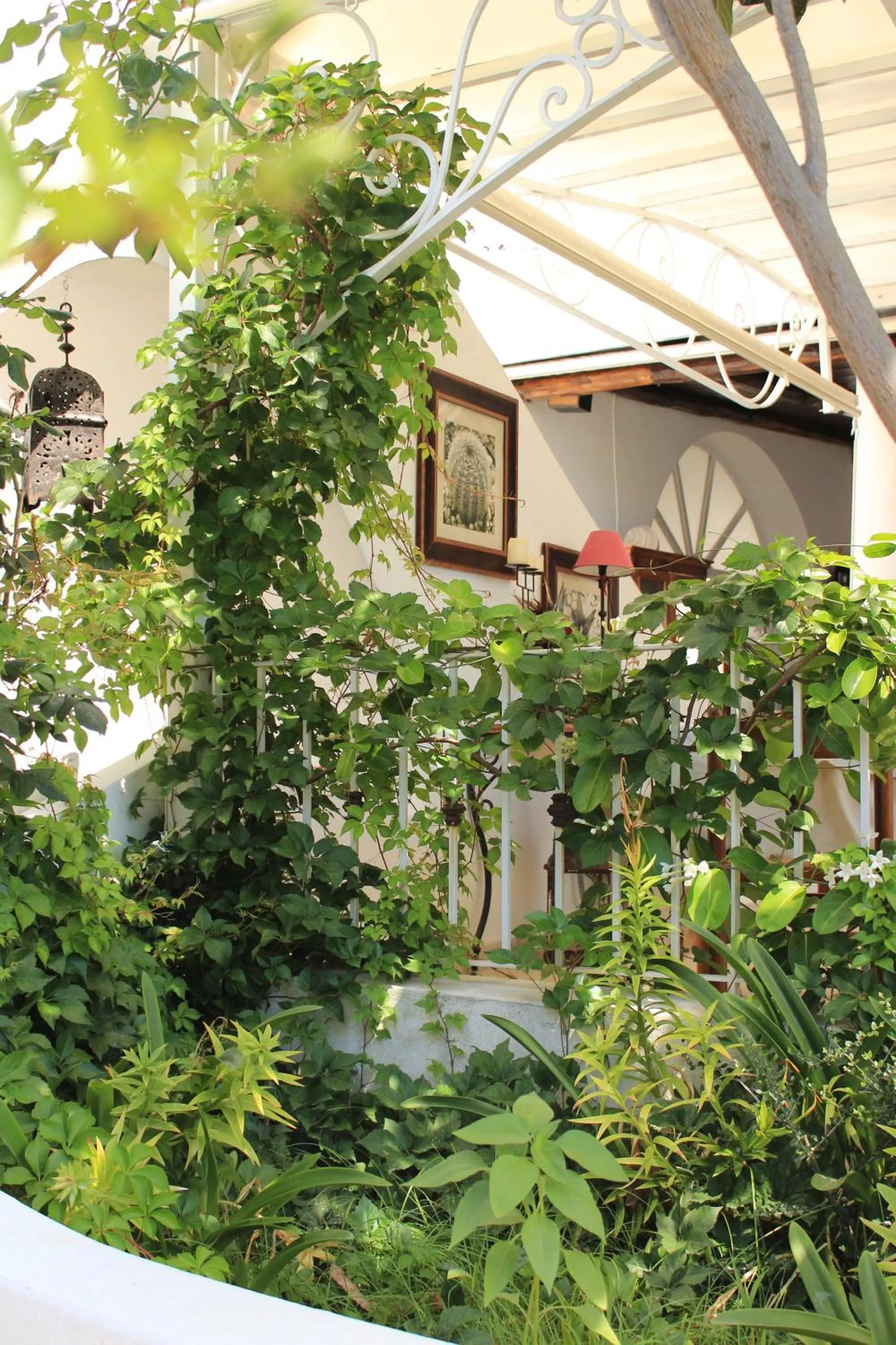 Facade/entrance in Hotel O Palmo