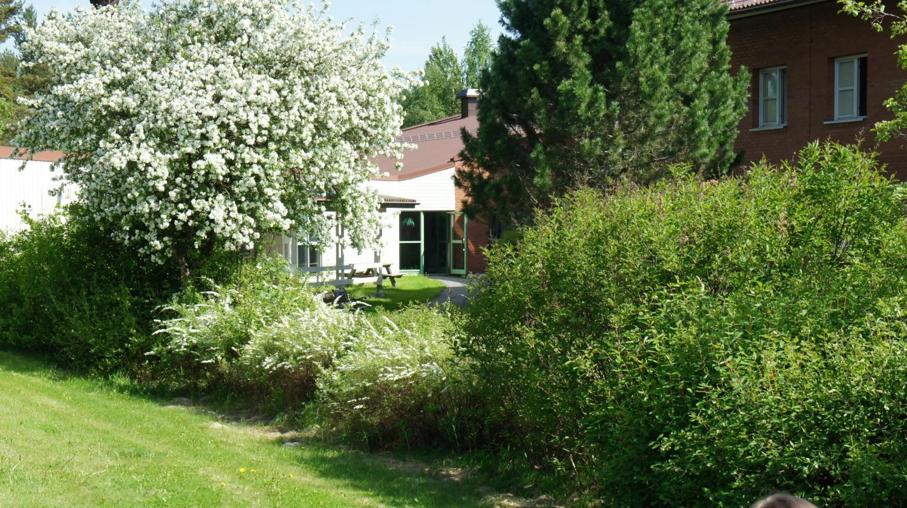 Area and facilities in Hotell Vindelngallerian