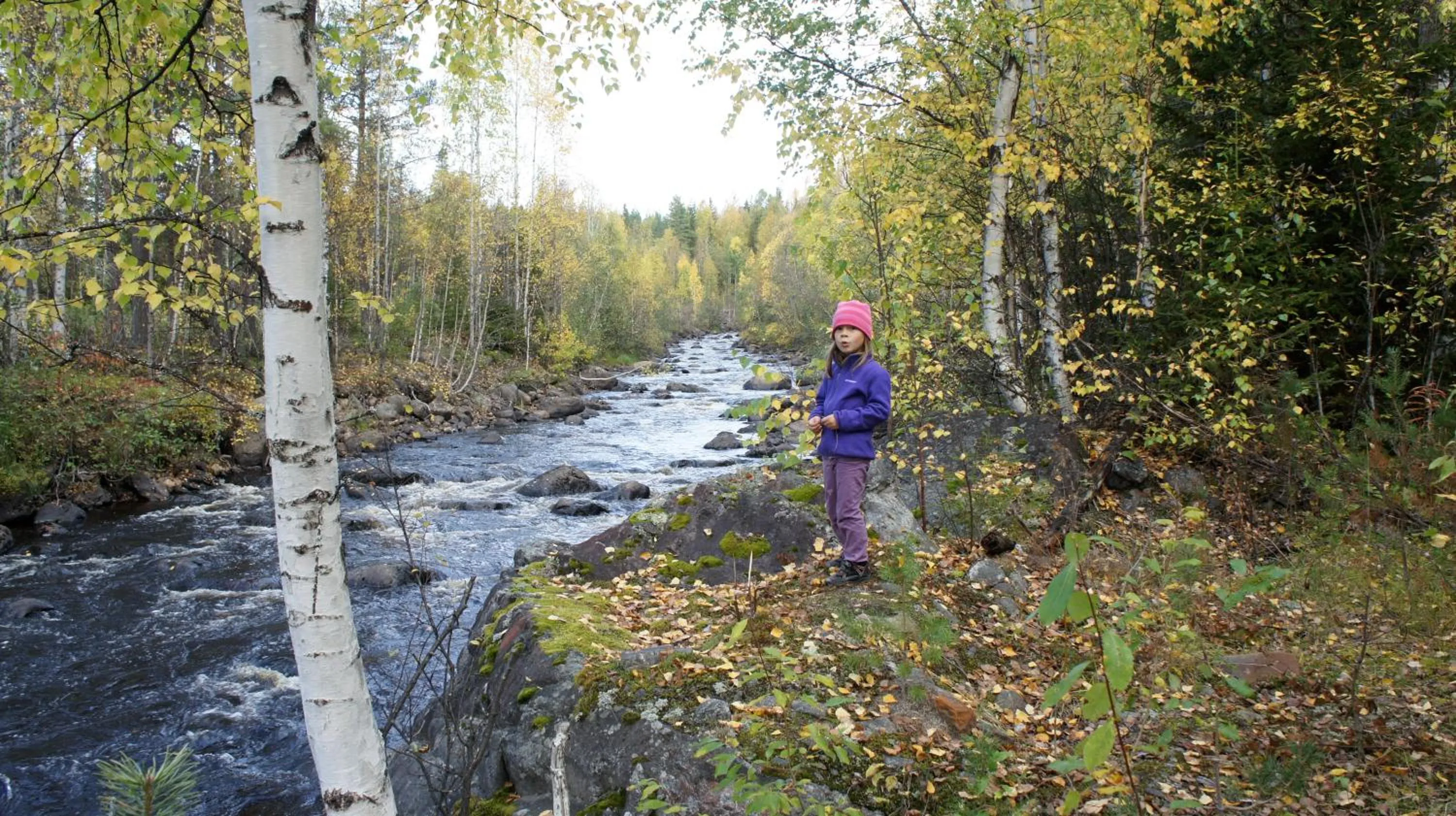 Fishing in Hotell Vindelngallerian