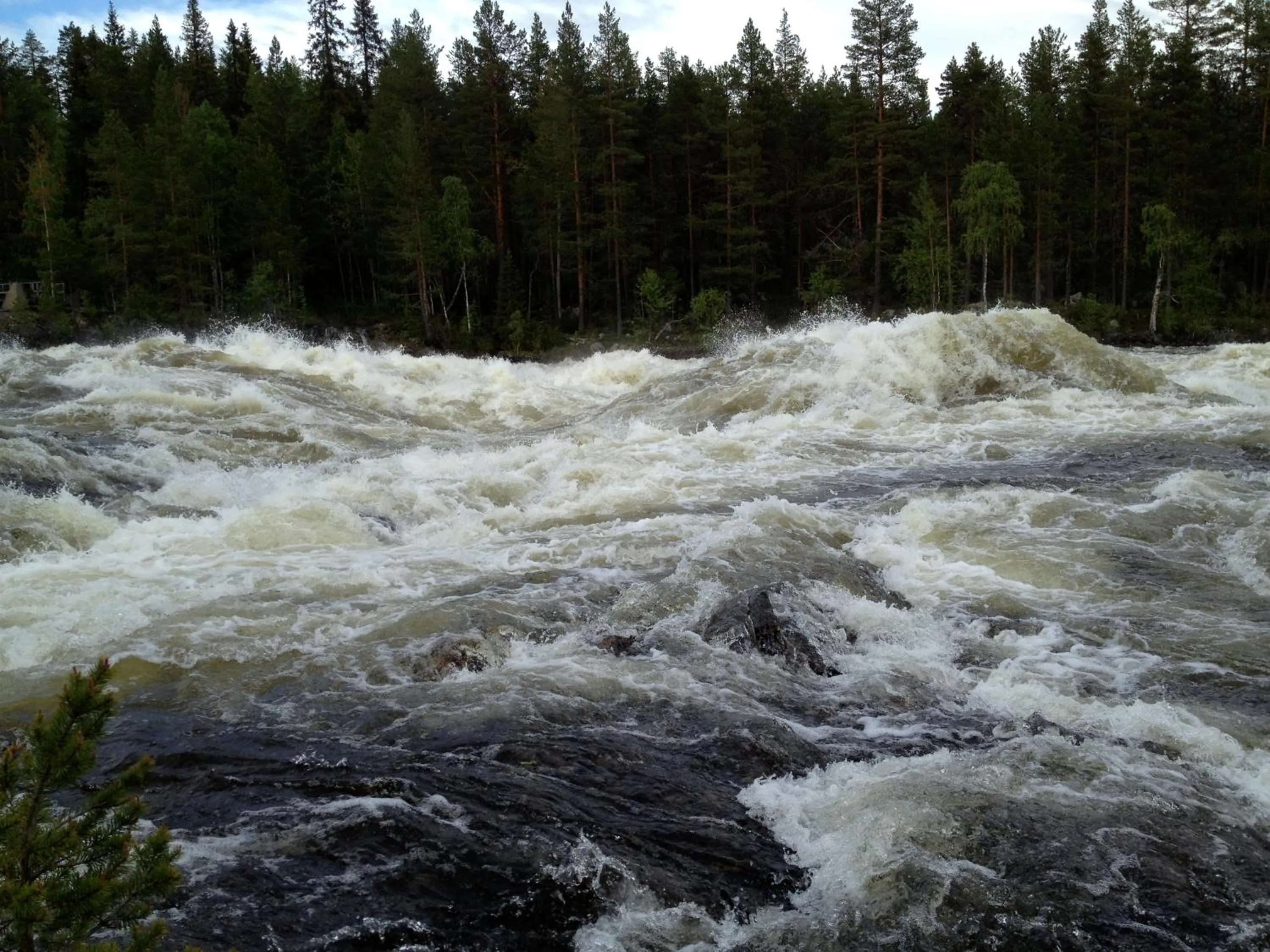 Spring in Hotell Vindelngallerian