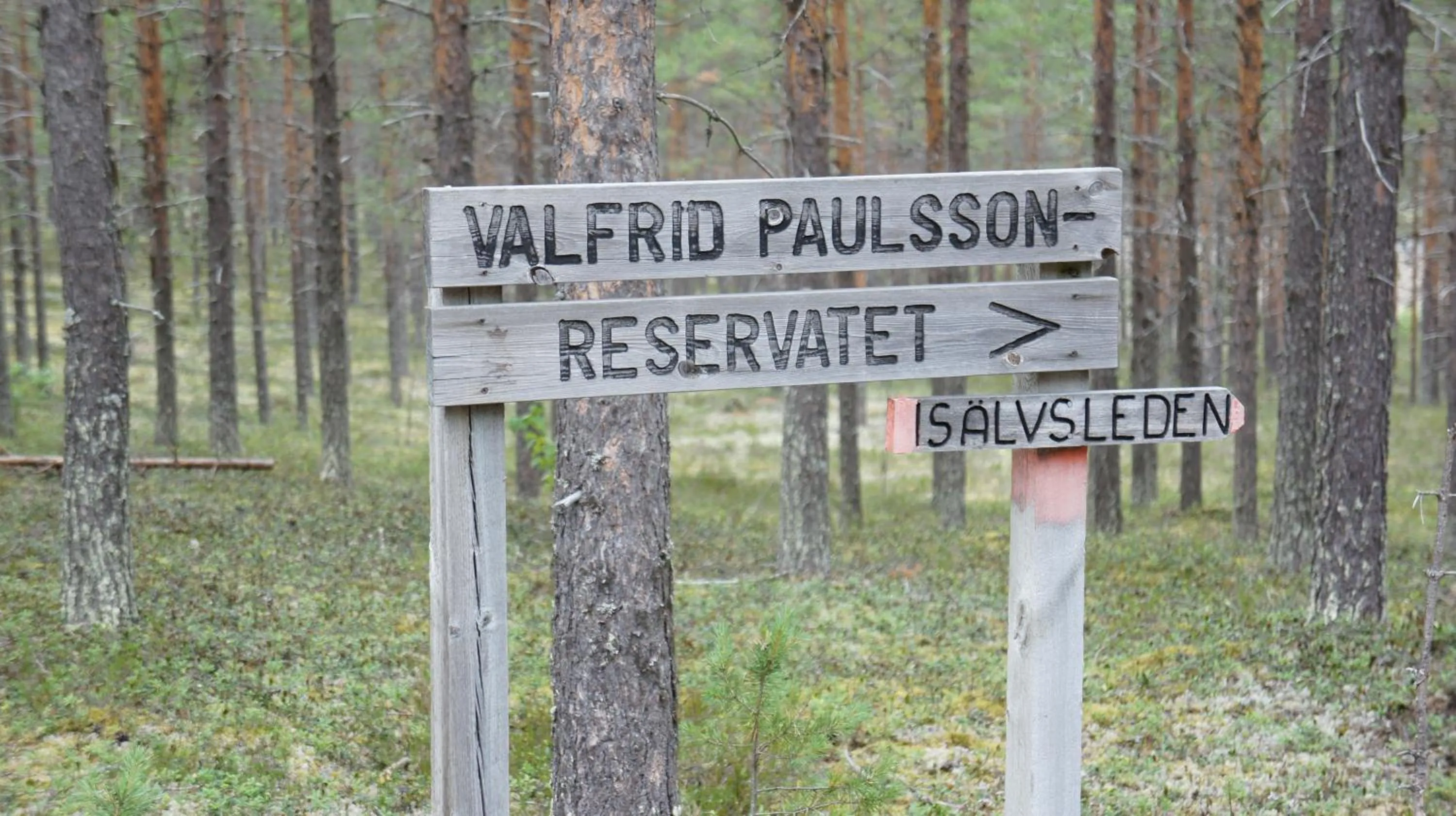 Hiking in Hotell Vindelngallerian