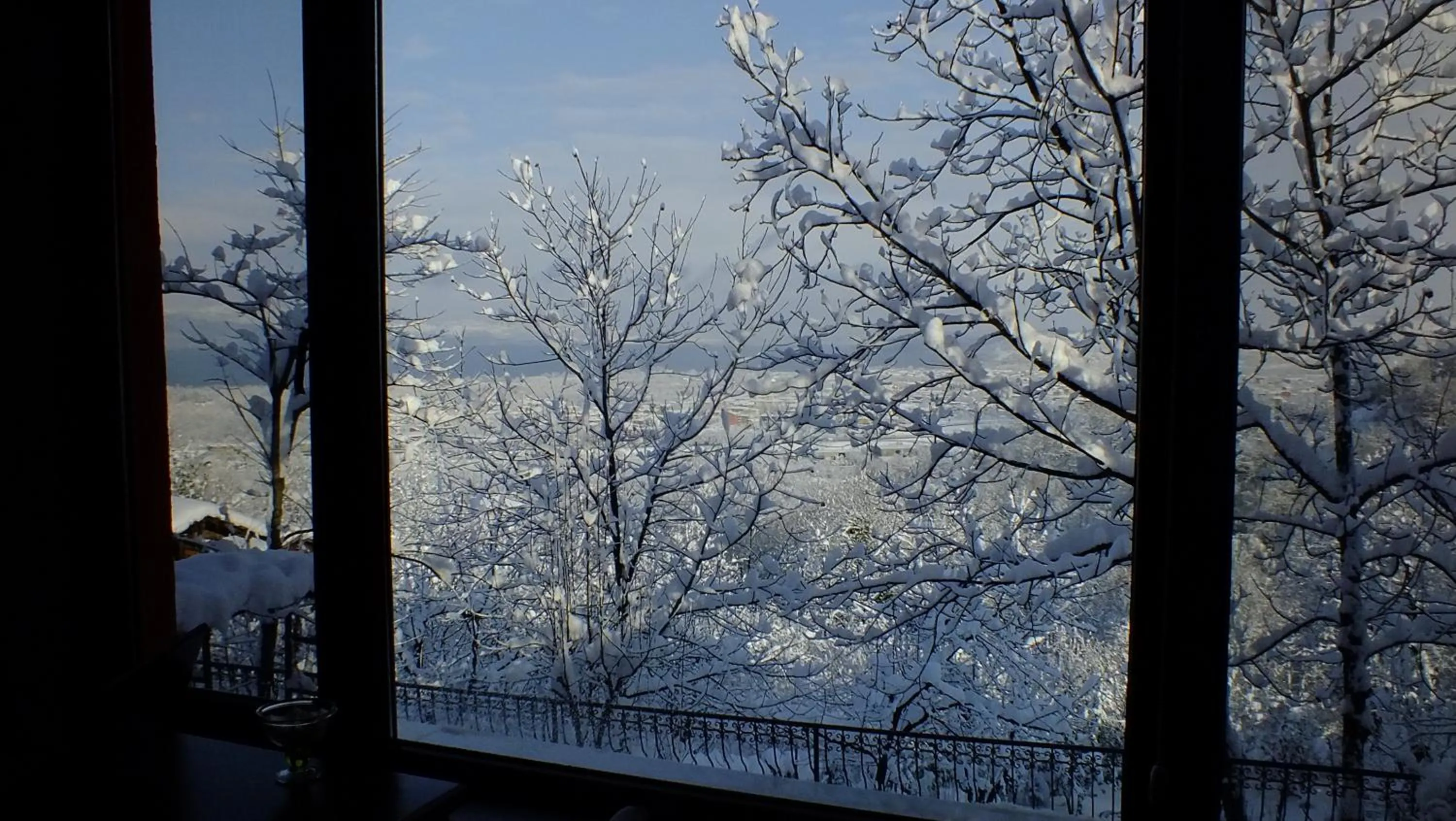 View (from property/room) in Sapanca Dilek Konagi Hotel