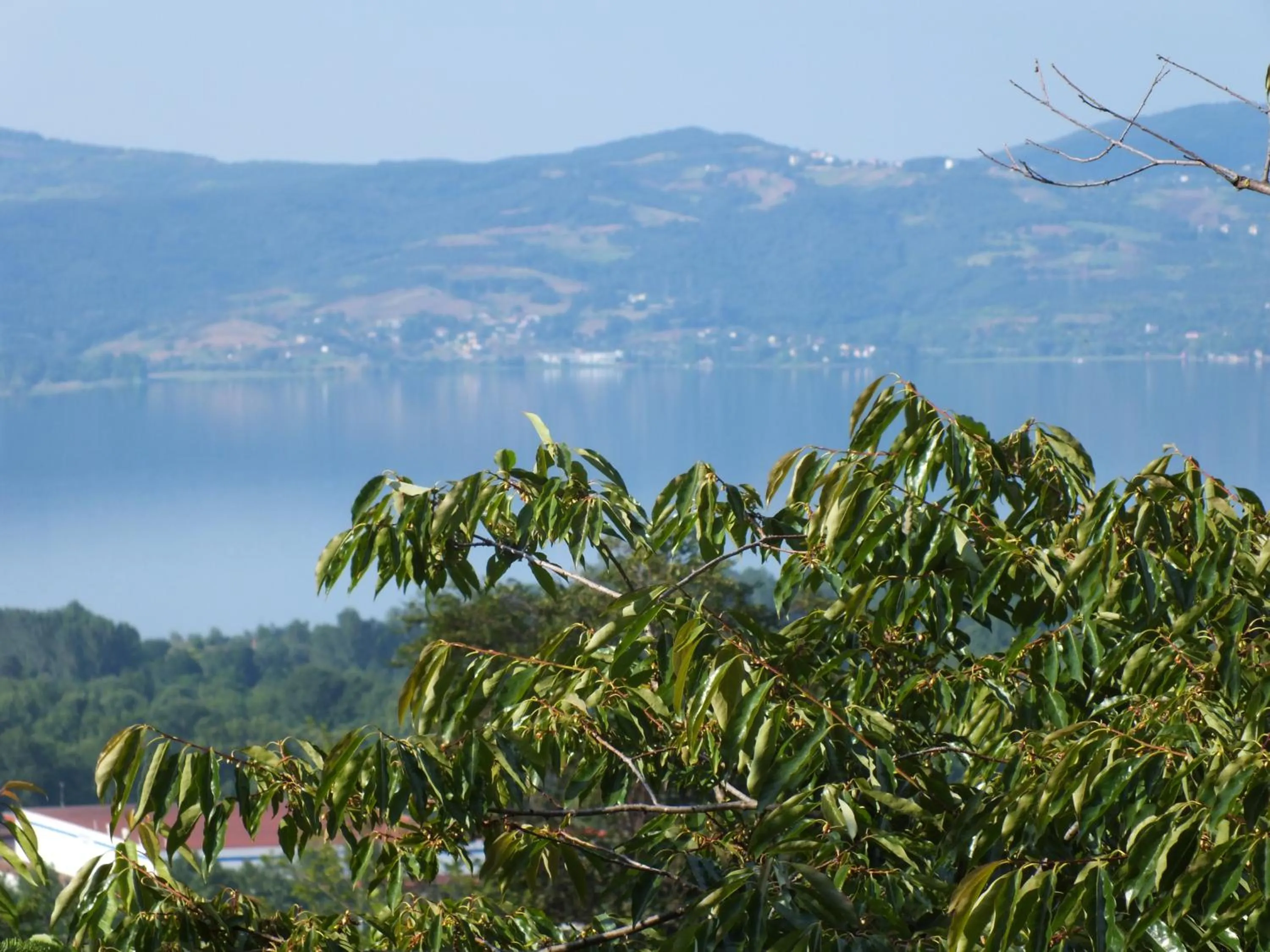 Lake view in Sapanca Dilek Konagi Hotel