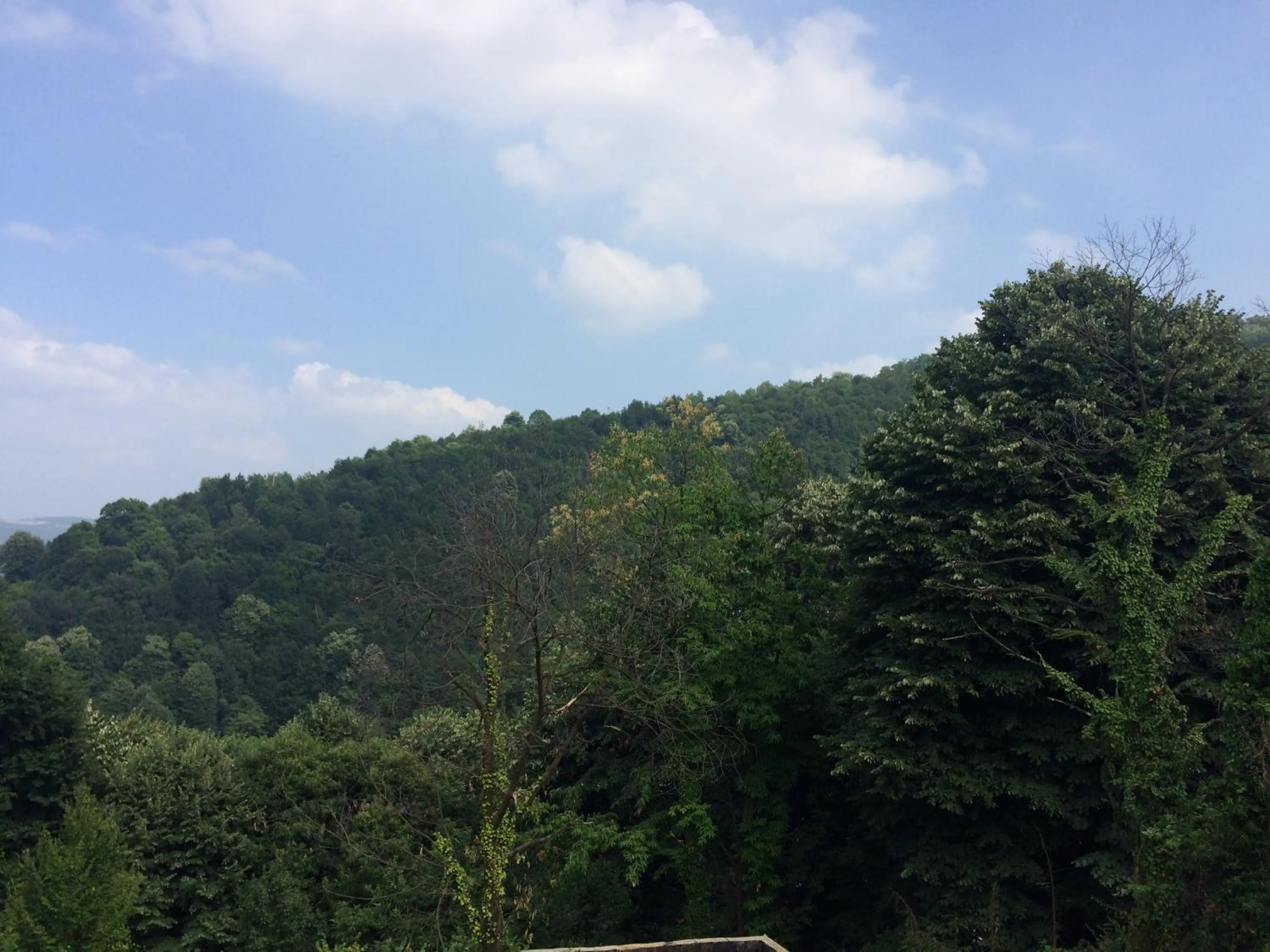 Mountain view in Sapanca Dilek Konagi Hotel