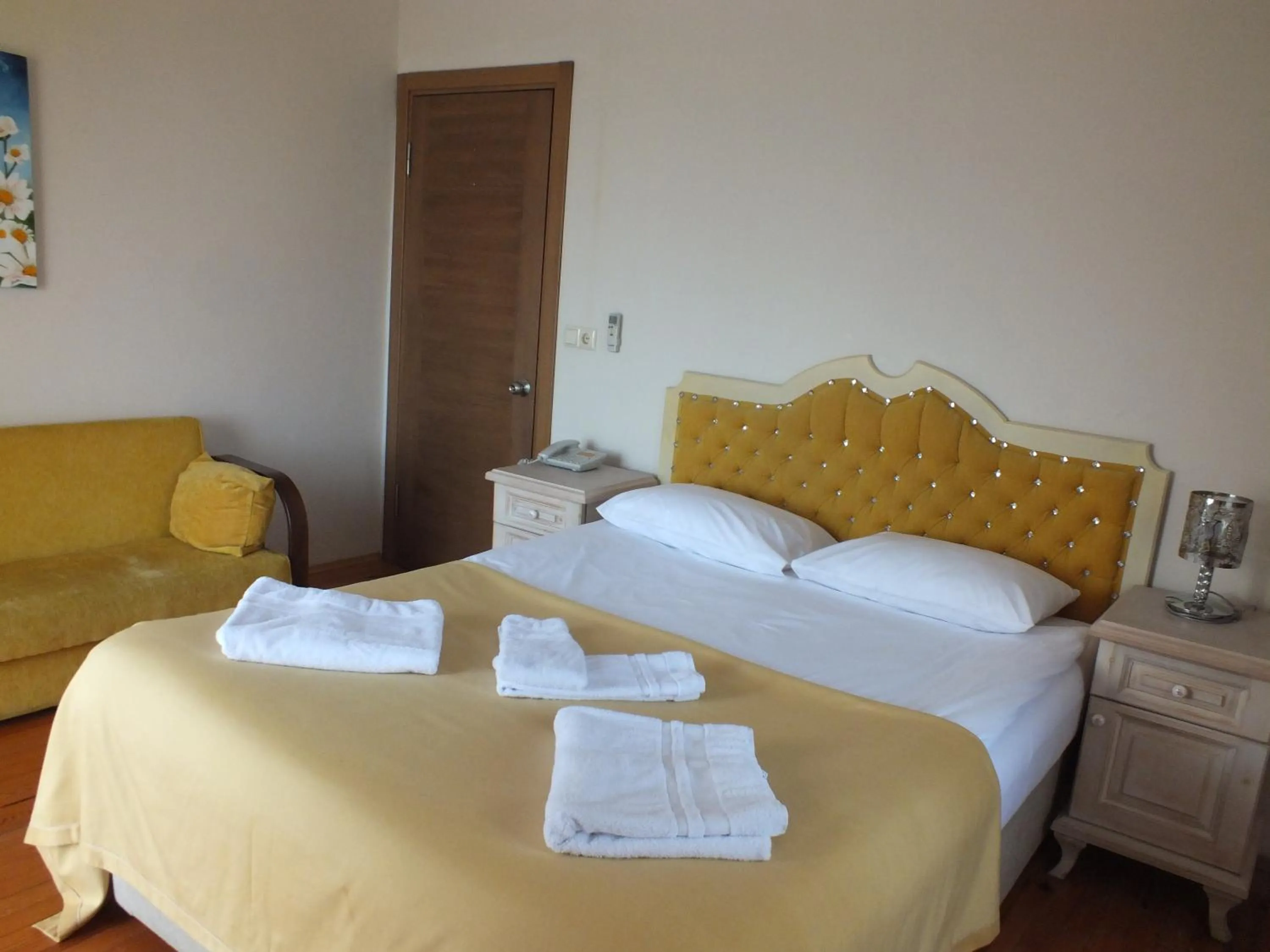 Photo of the whole room in Sapanca Dilek Konagi Hotel