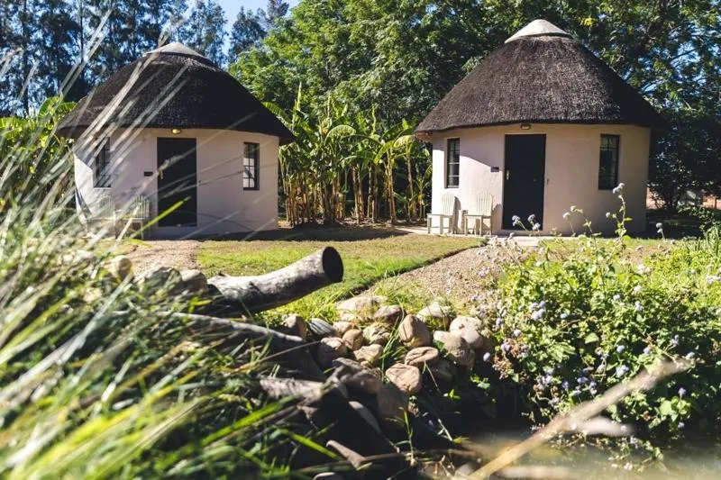 Property building in Addo African Home