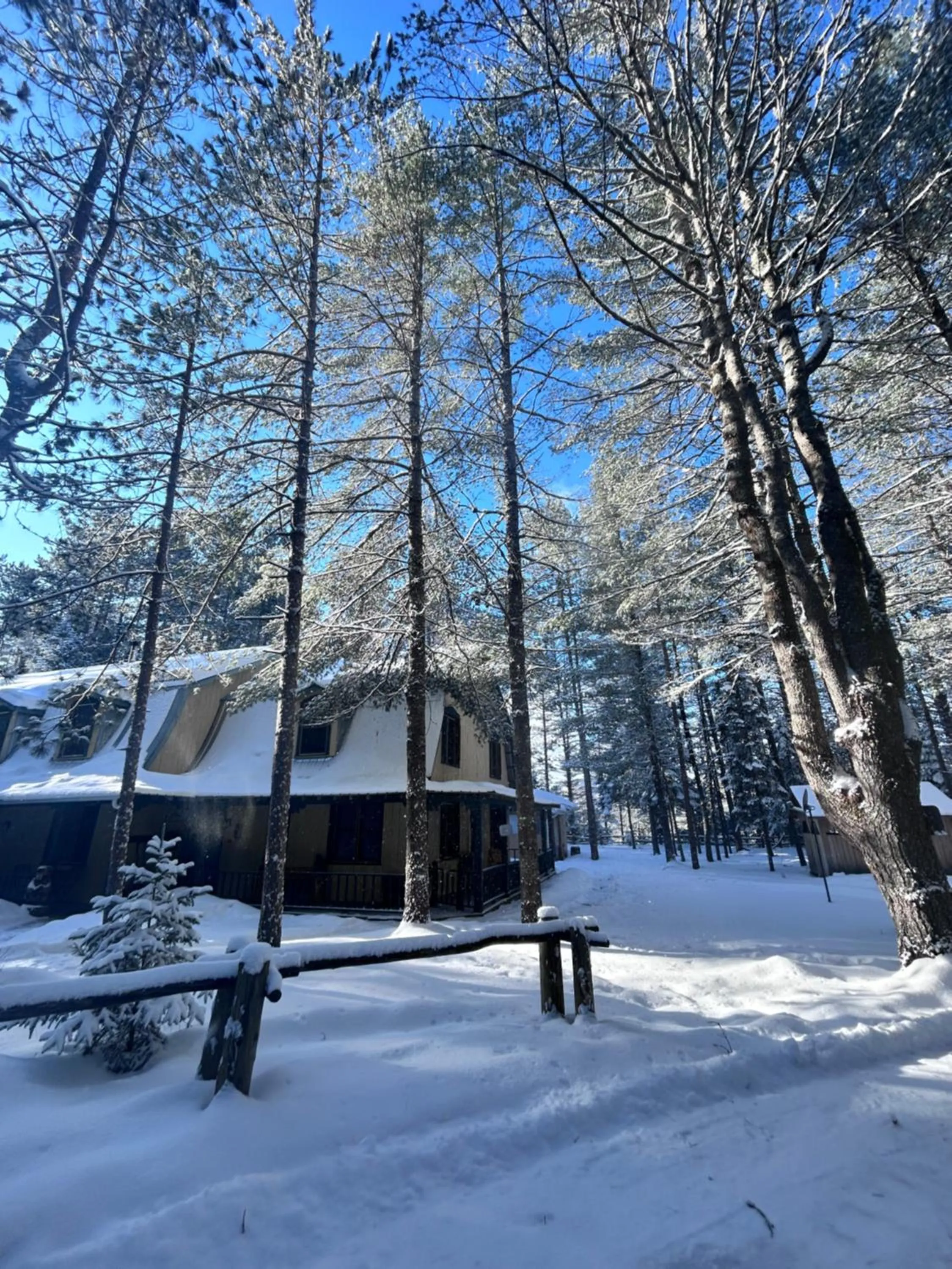 Auberge le Cosy Tremblant