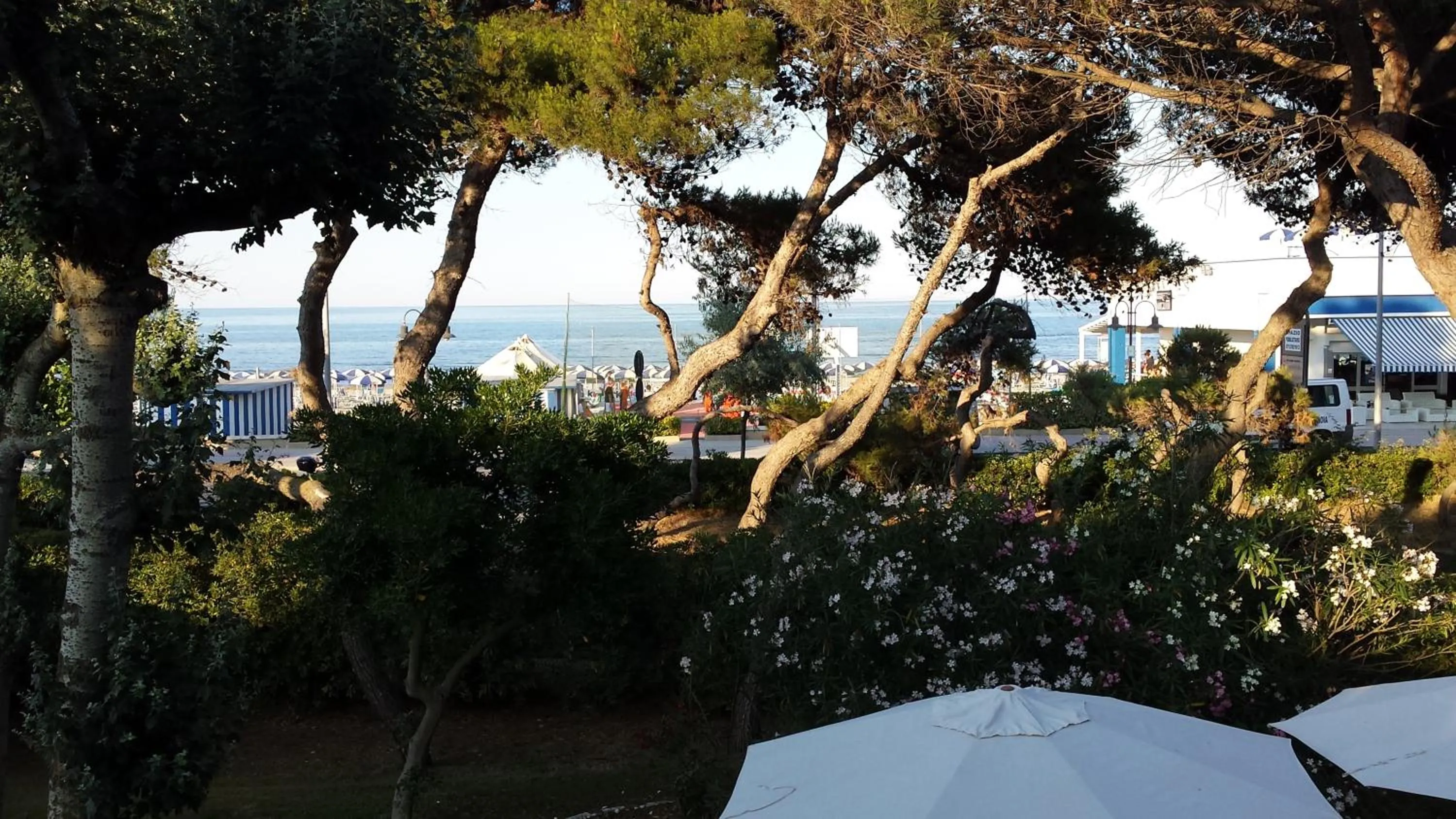 Other in B&B Il Parco Dei Pini