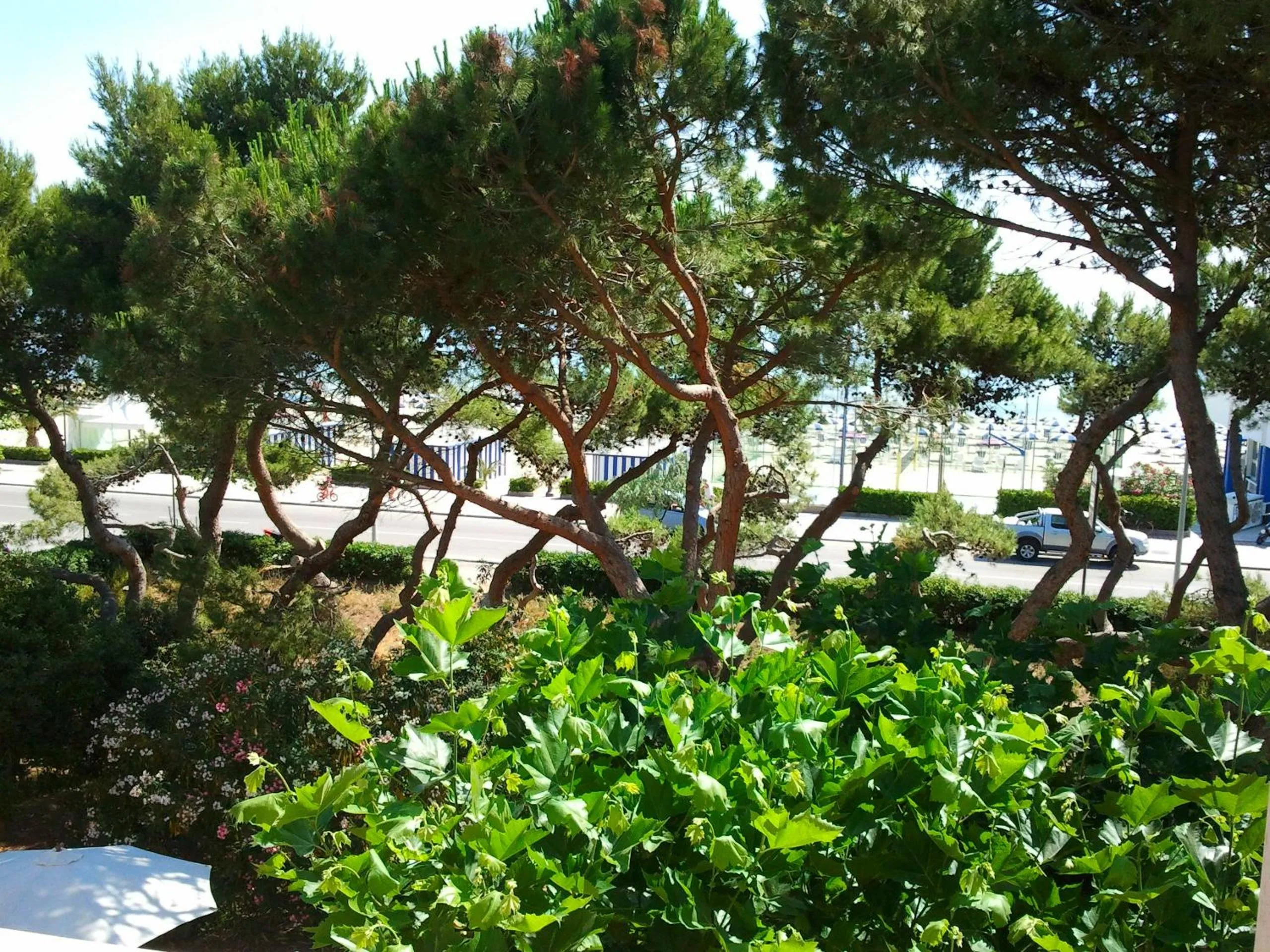 Sea view in B&B Il Parco Dei Pini