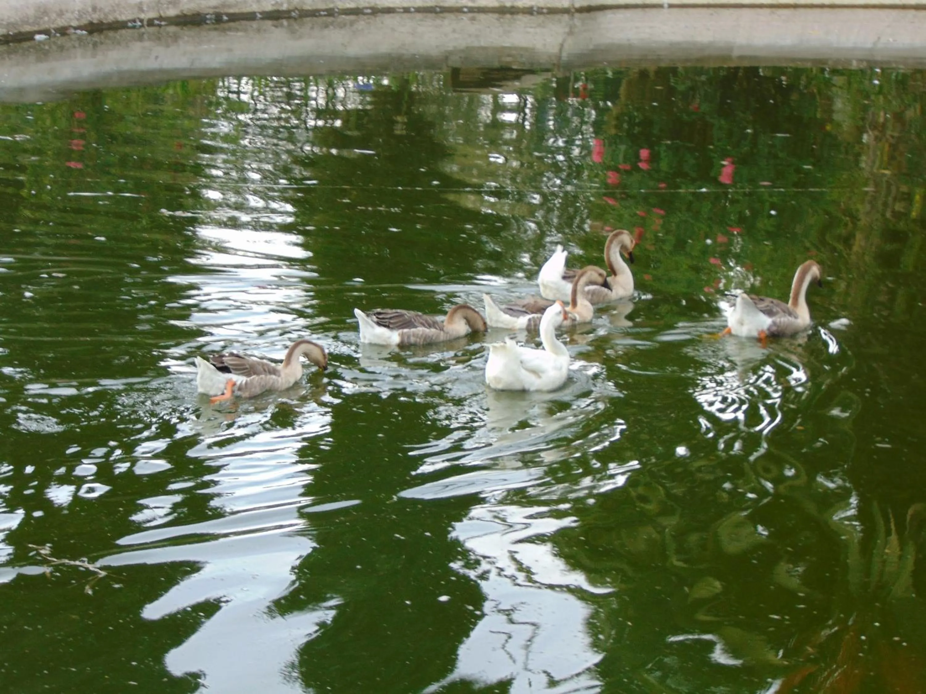 Quito Airport Suites Hotel