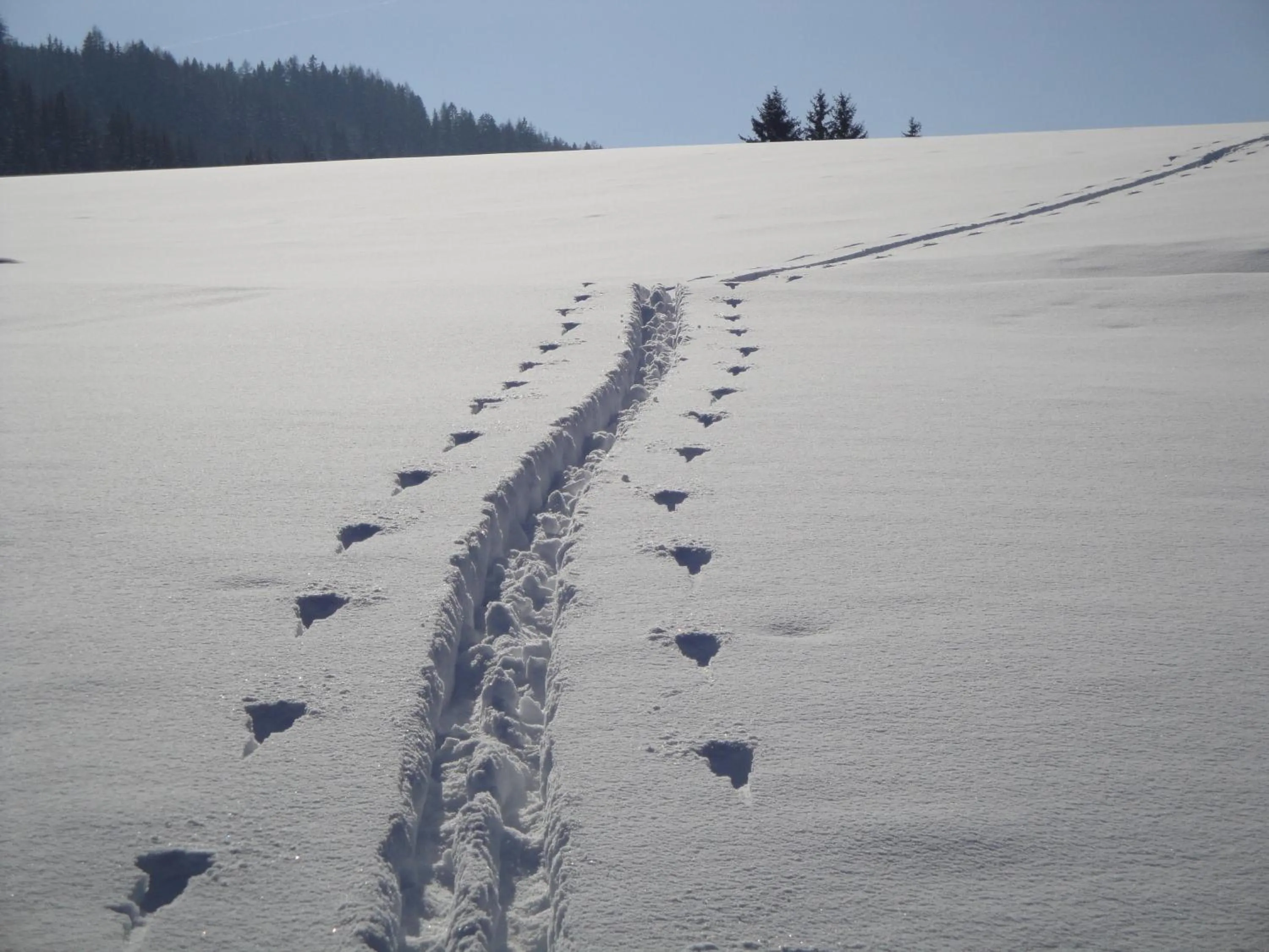 Hotel Pension Schwaiger