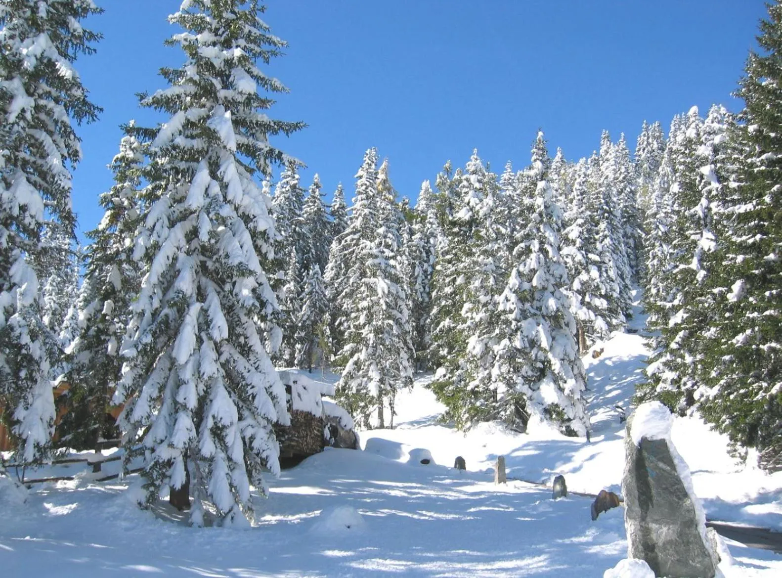 Natural landscape in Hotel Pension Schwaiger