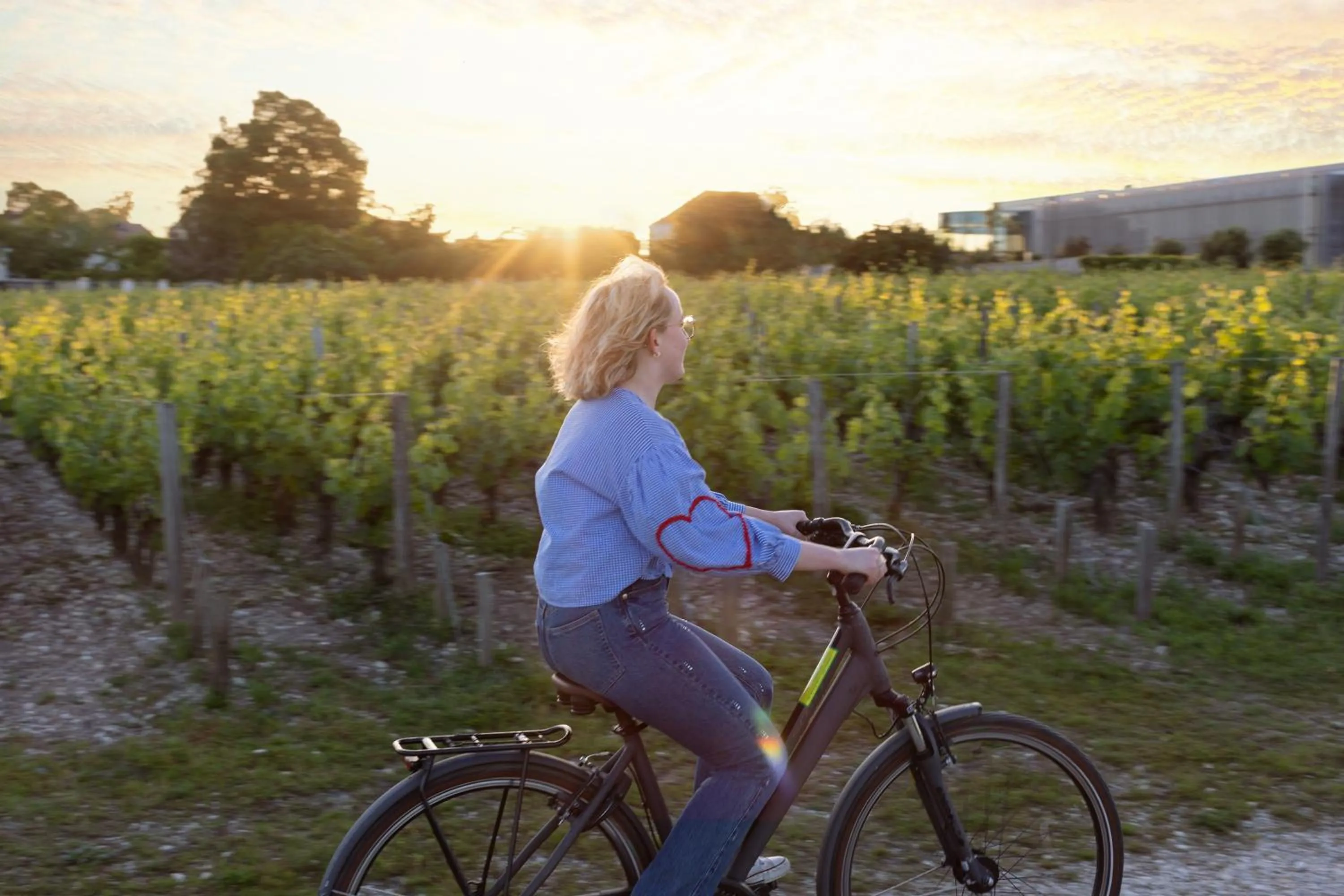 Cycling in Château Cordeillan-Bages