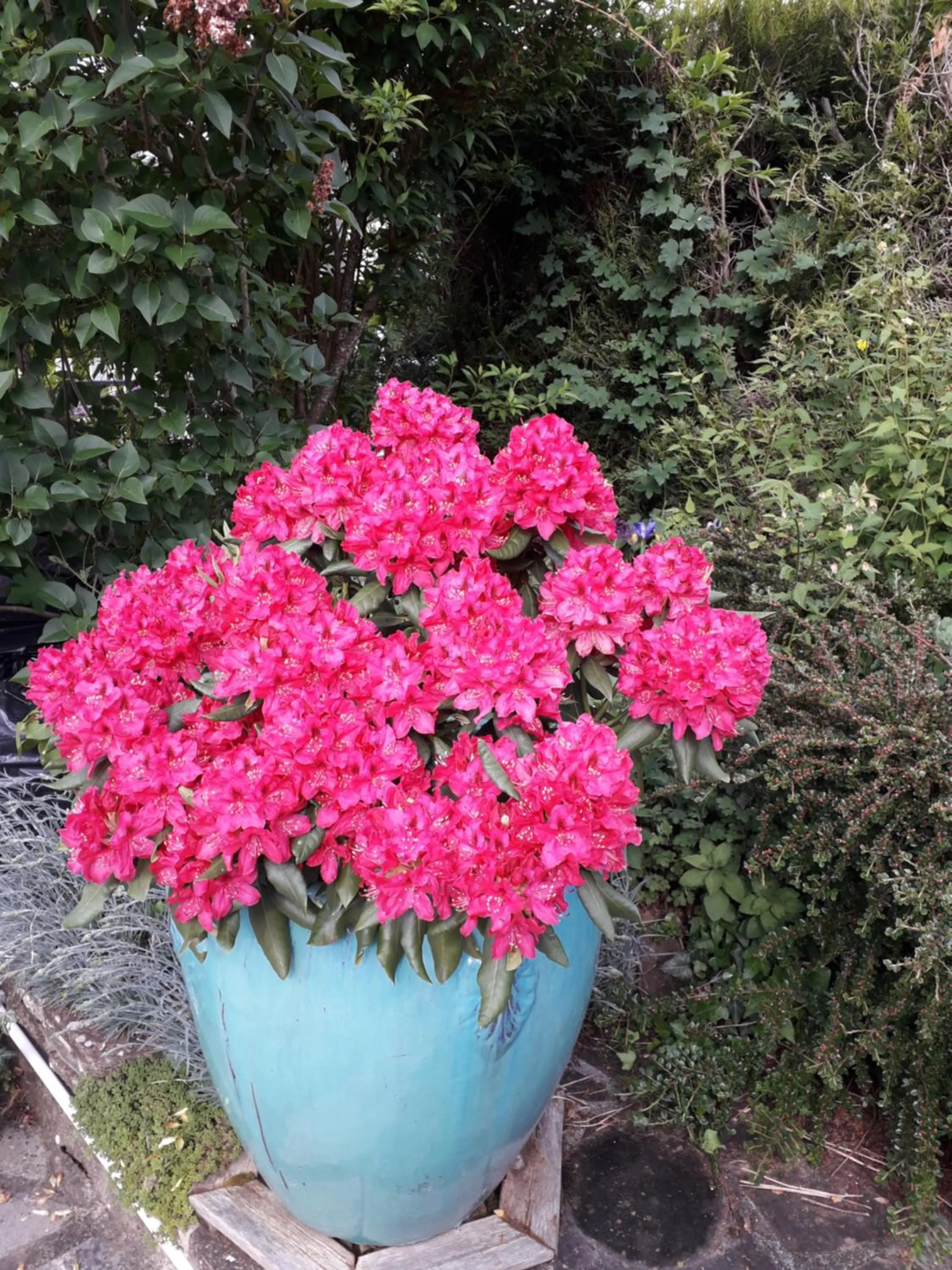 Chambre d'Hôtes - DOUCE NUI-THE