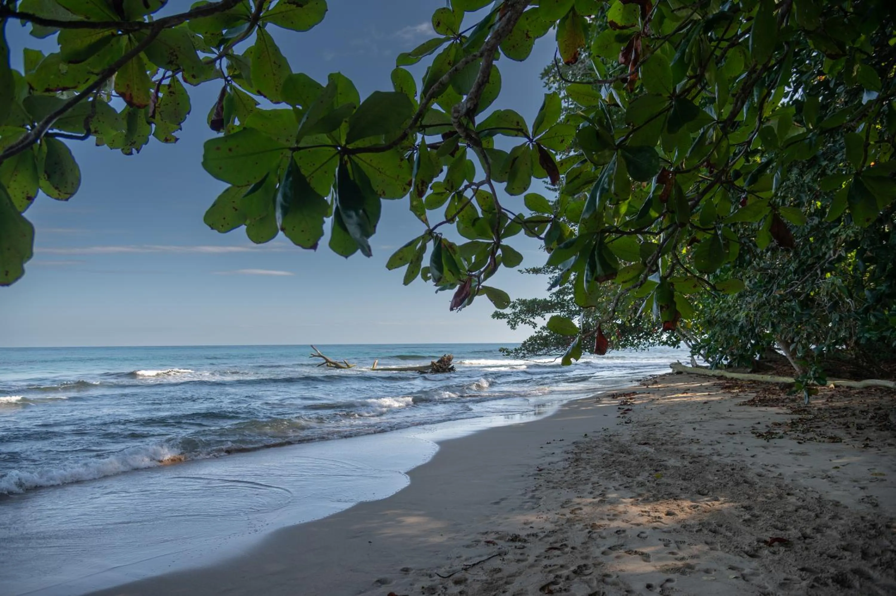 Natural landscape in Le Cameleon Hotel