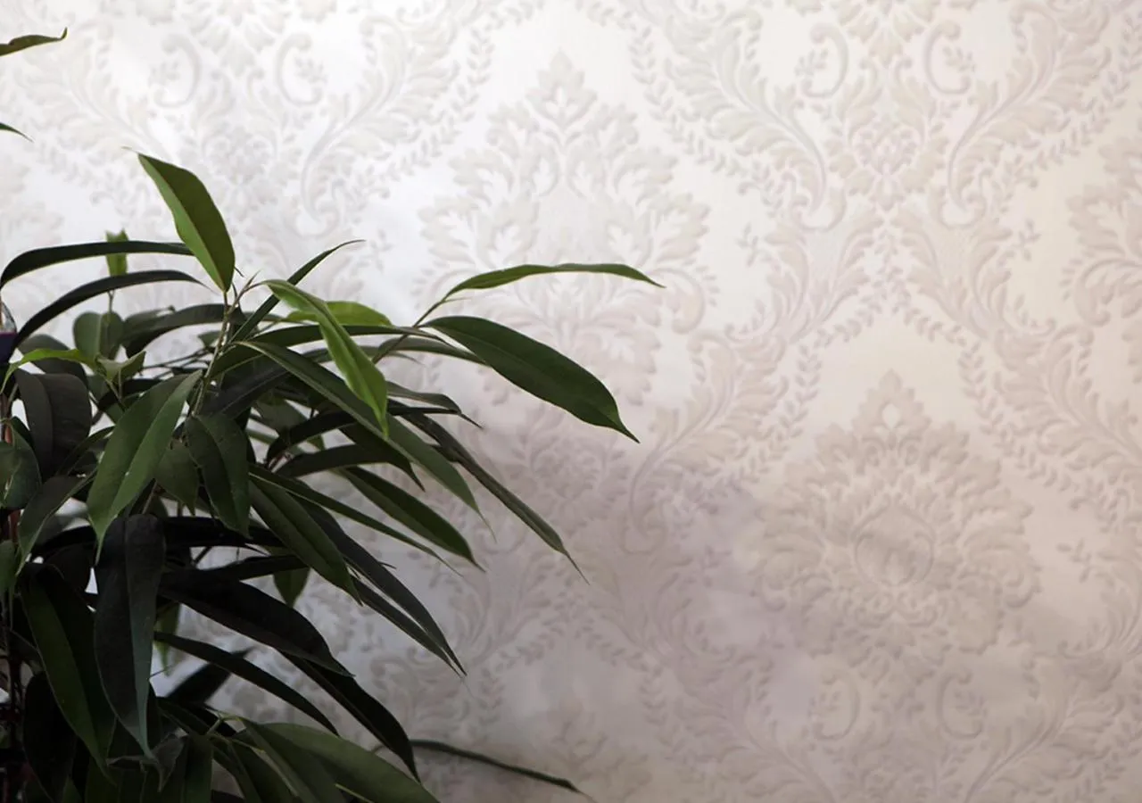 Communal lounge/ TV room in Charming Palace Santa Fosca