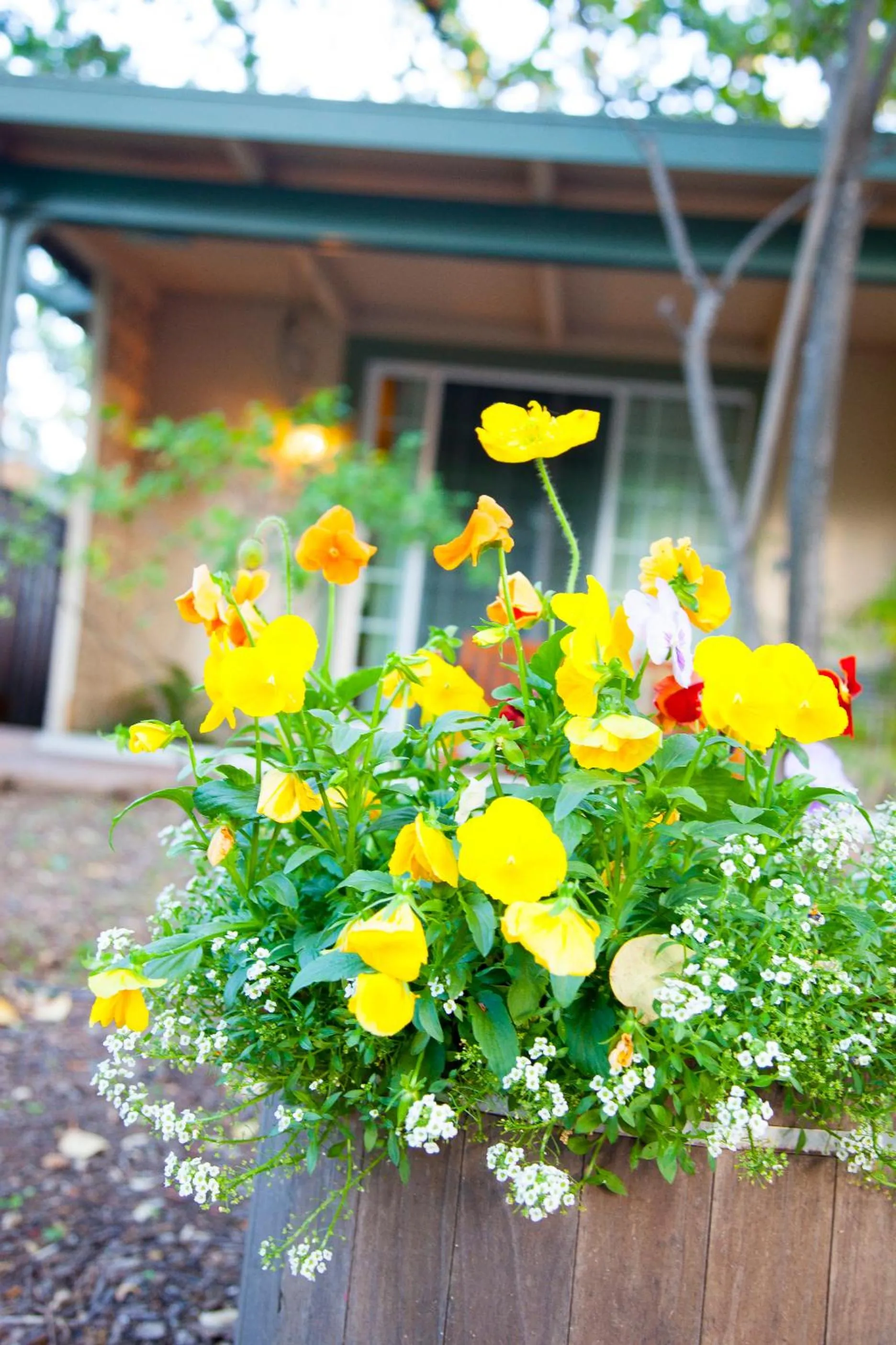 Decorative detail in El Bonita Motel