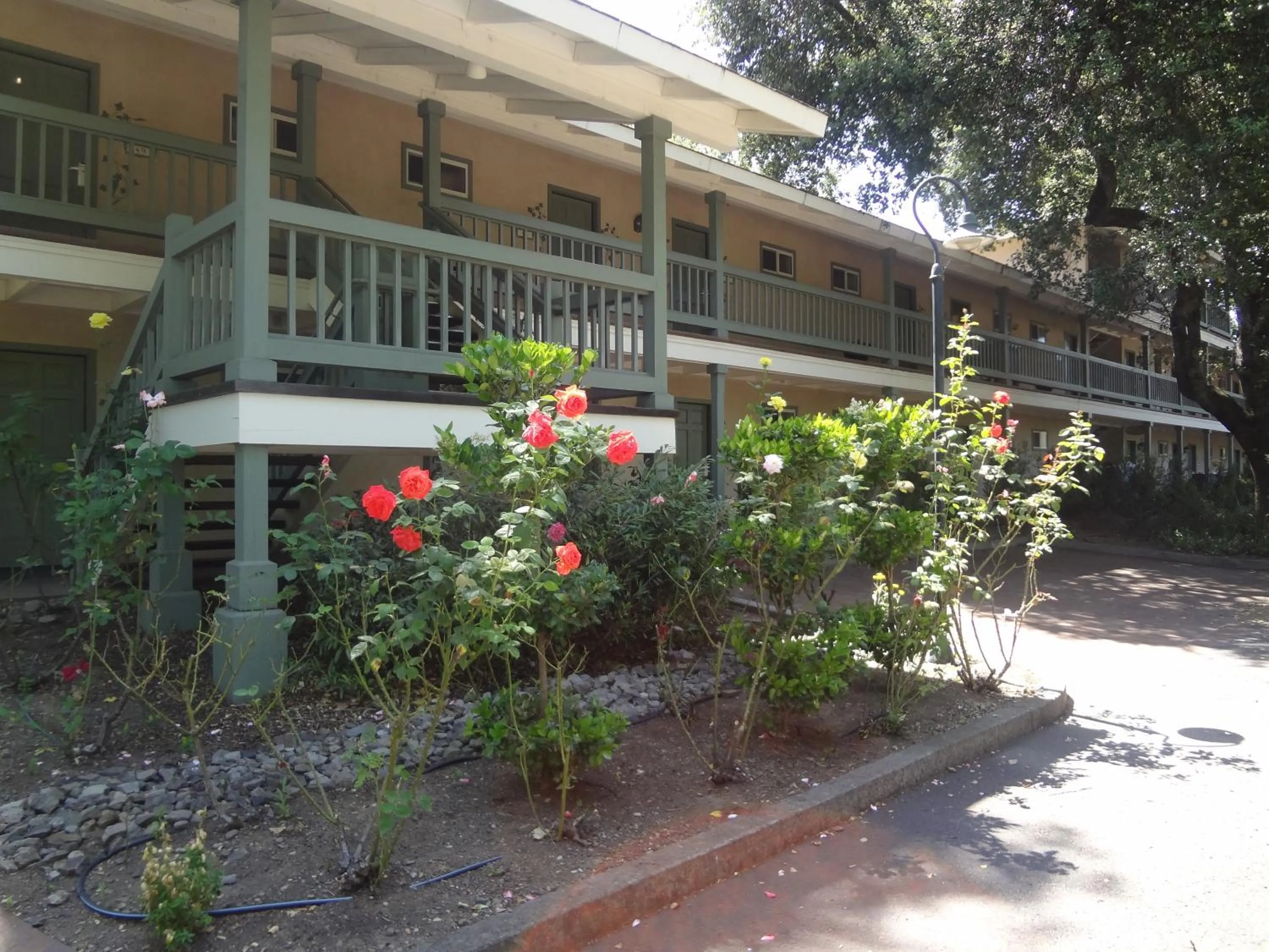 Facade/entrance in El Bonita Motel