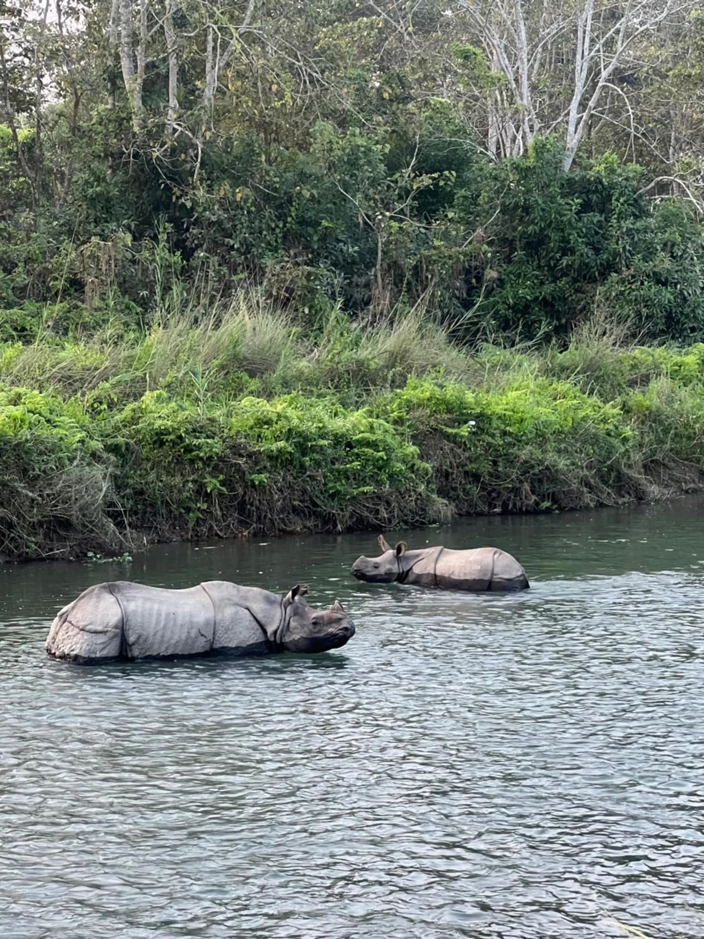 Natural landscape in Hotel Chitwan Park Village