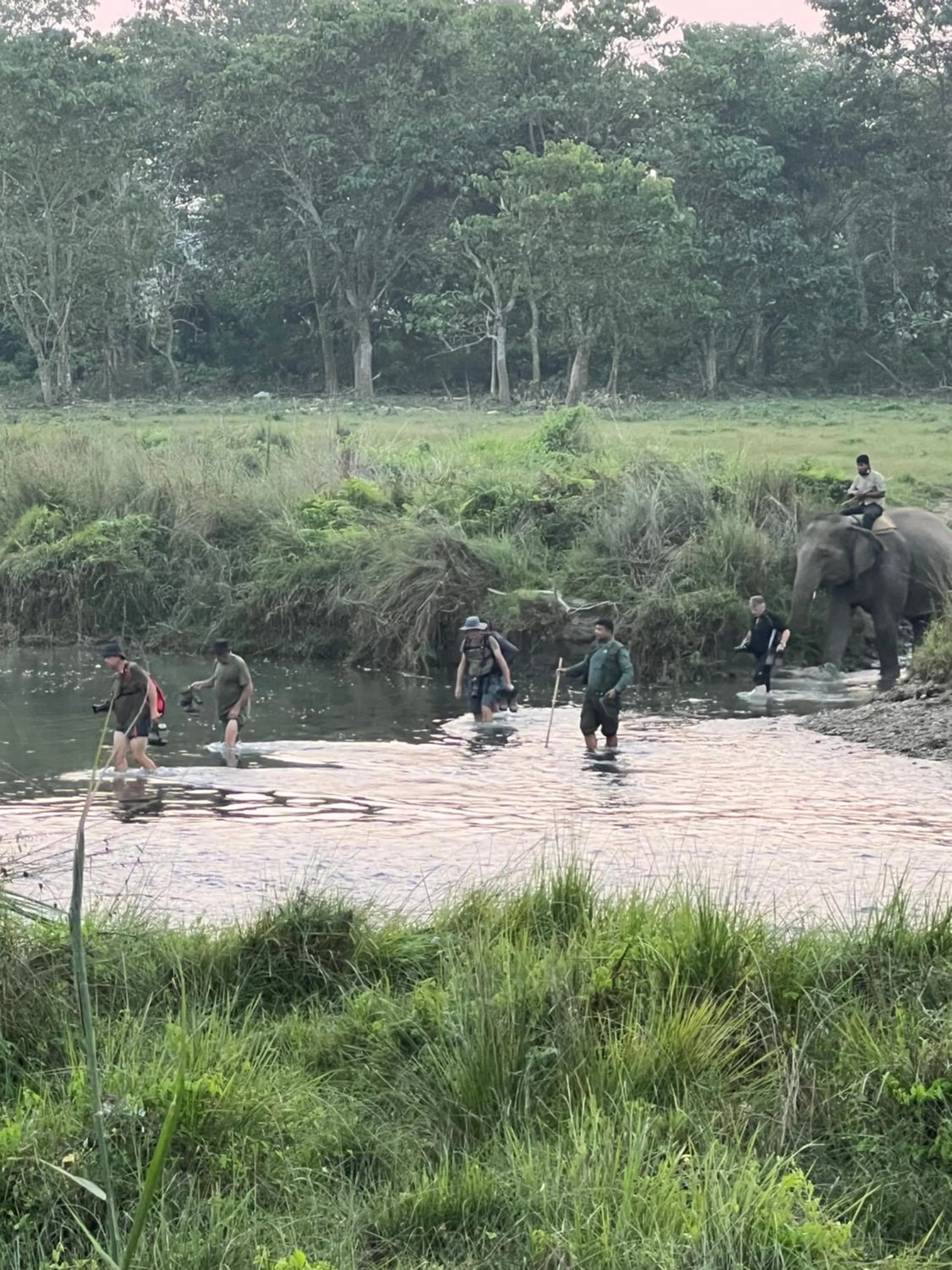 Natural landscape in Hotel Chitwan Park Village