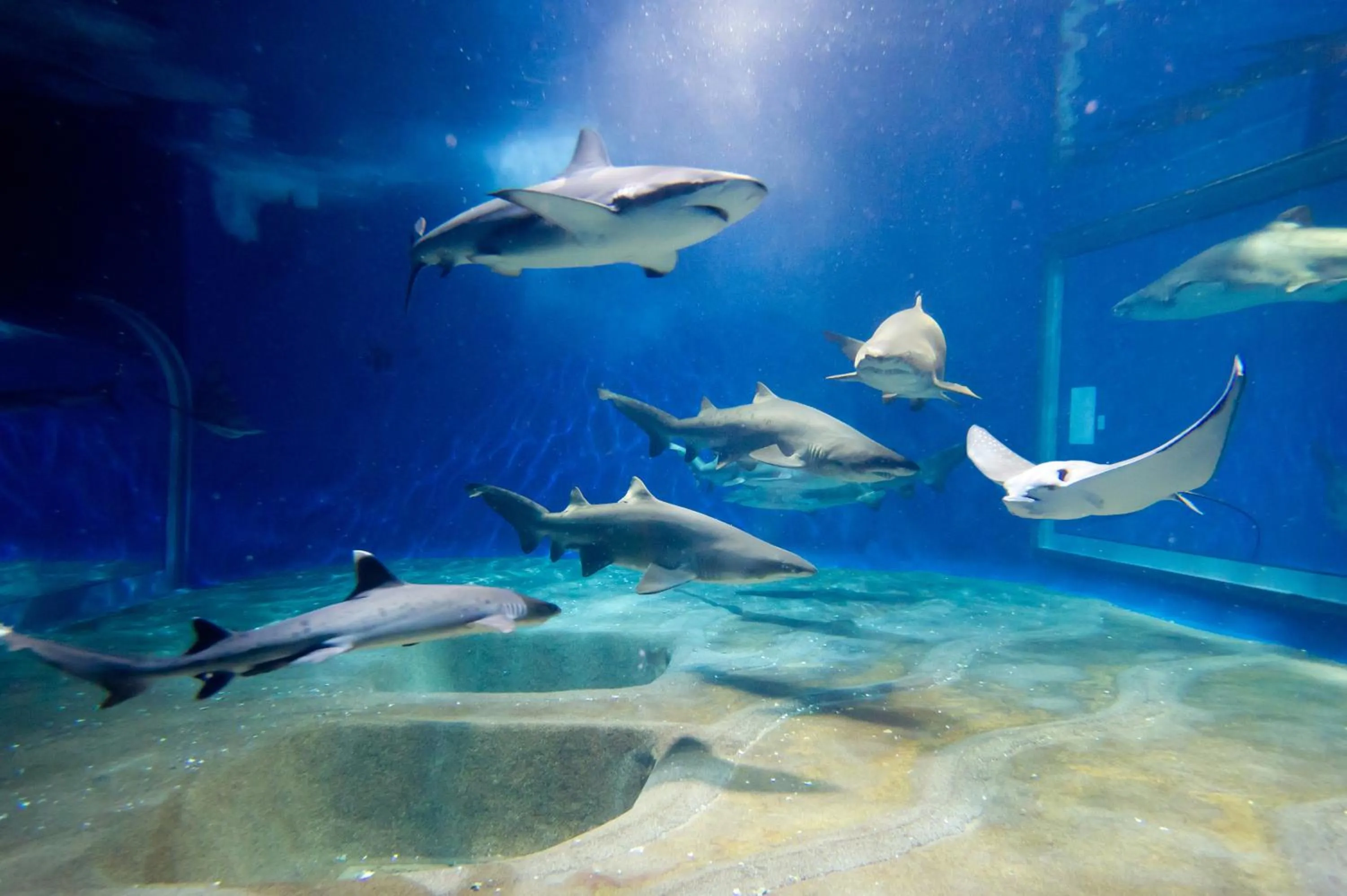 Nearby landmark in Court Hotel Mito