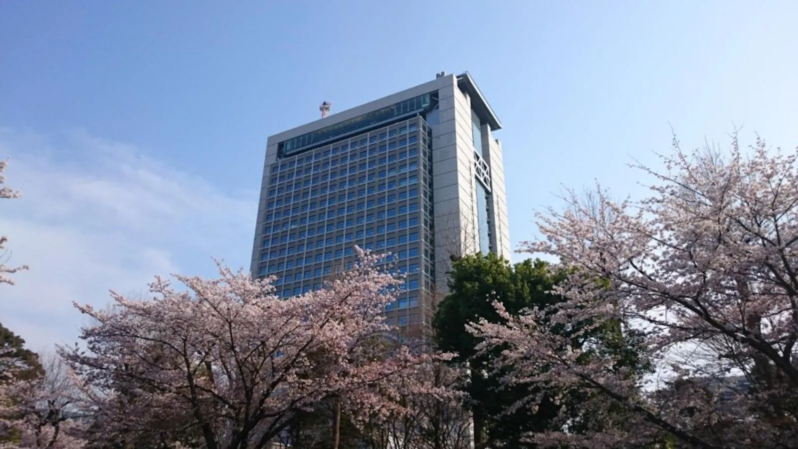 Spring in Court Hotel Mito