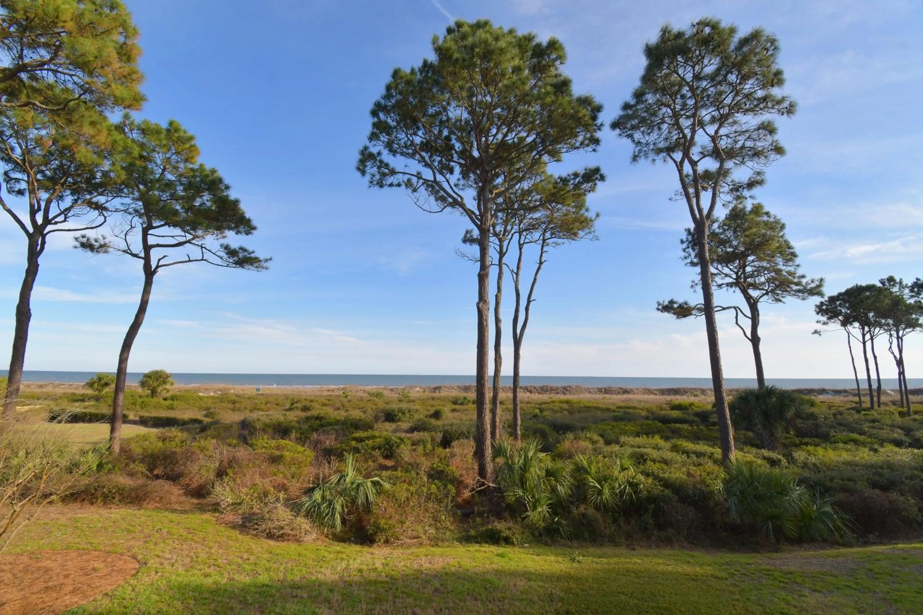 Million Dollar Oceanfront View