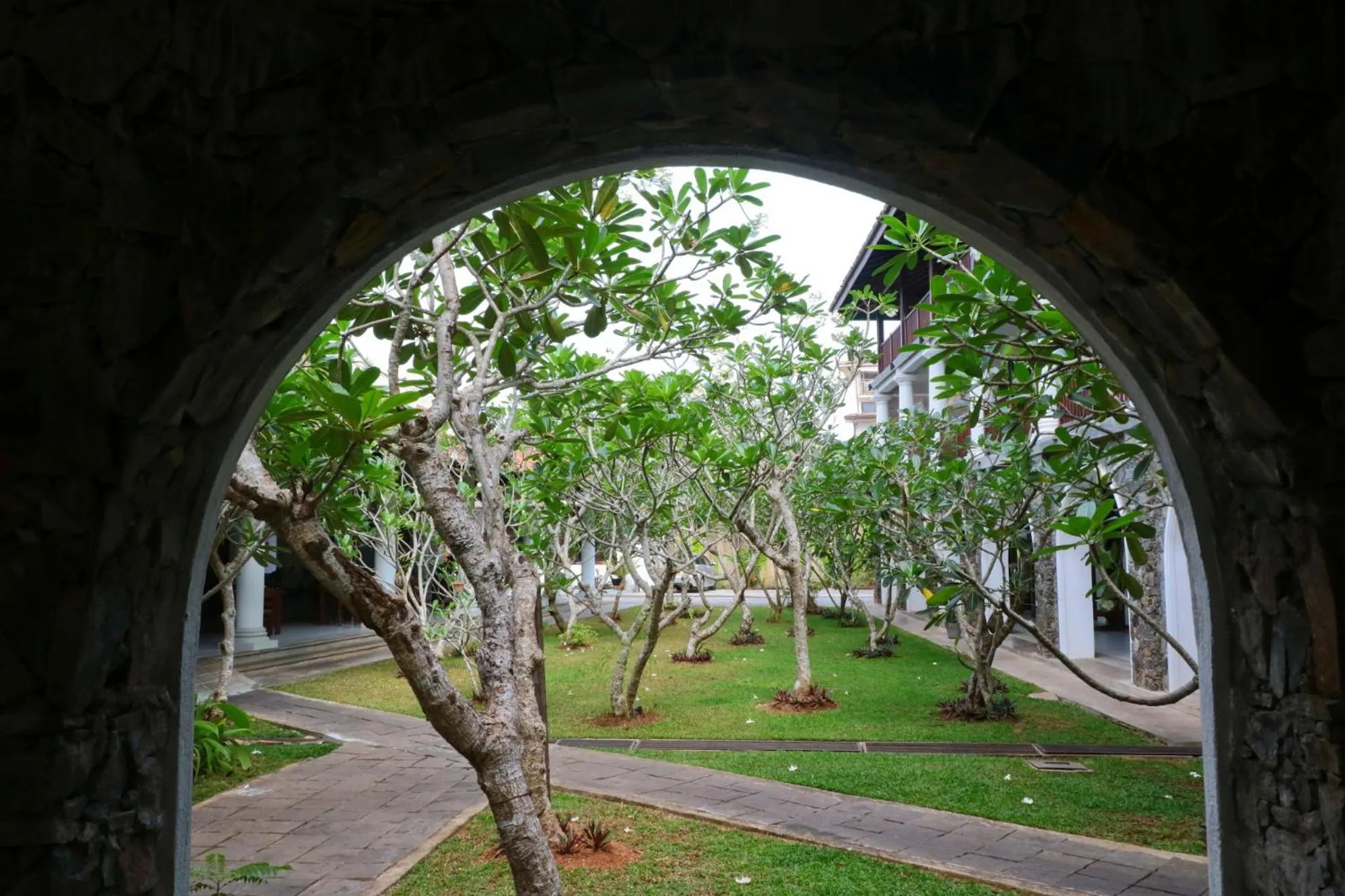 Garden in The Heritage Hotel Galle Fort