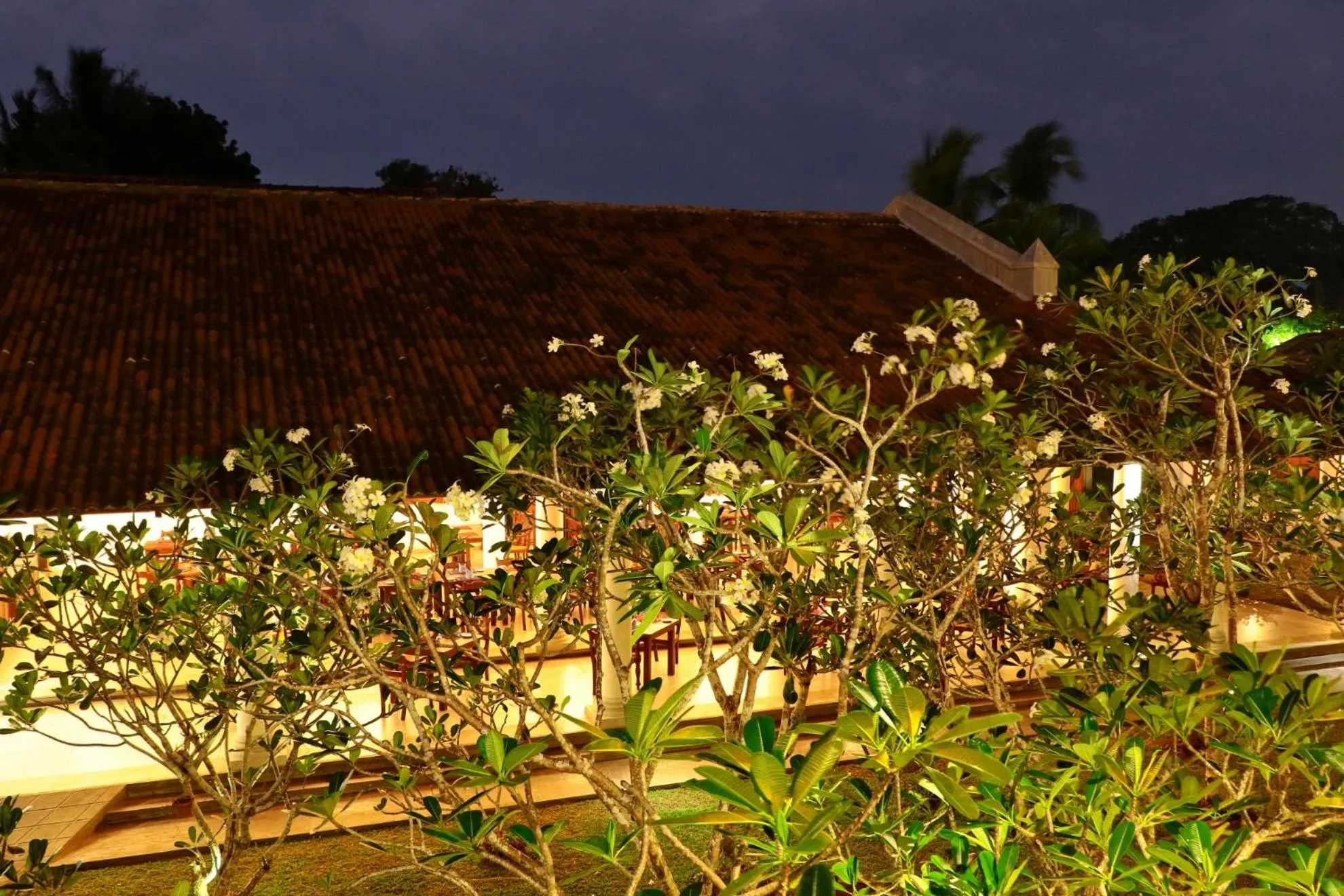Garden in The Heritage Hotel Galle Fort