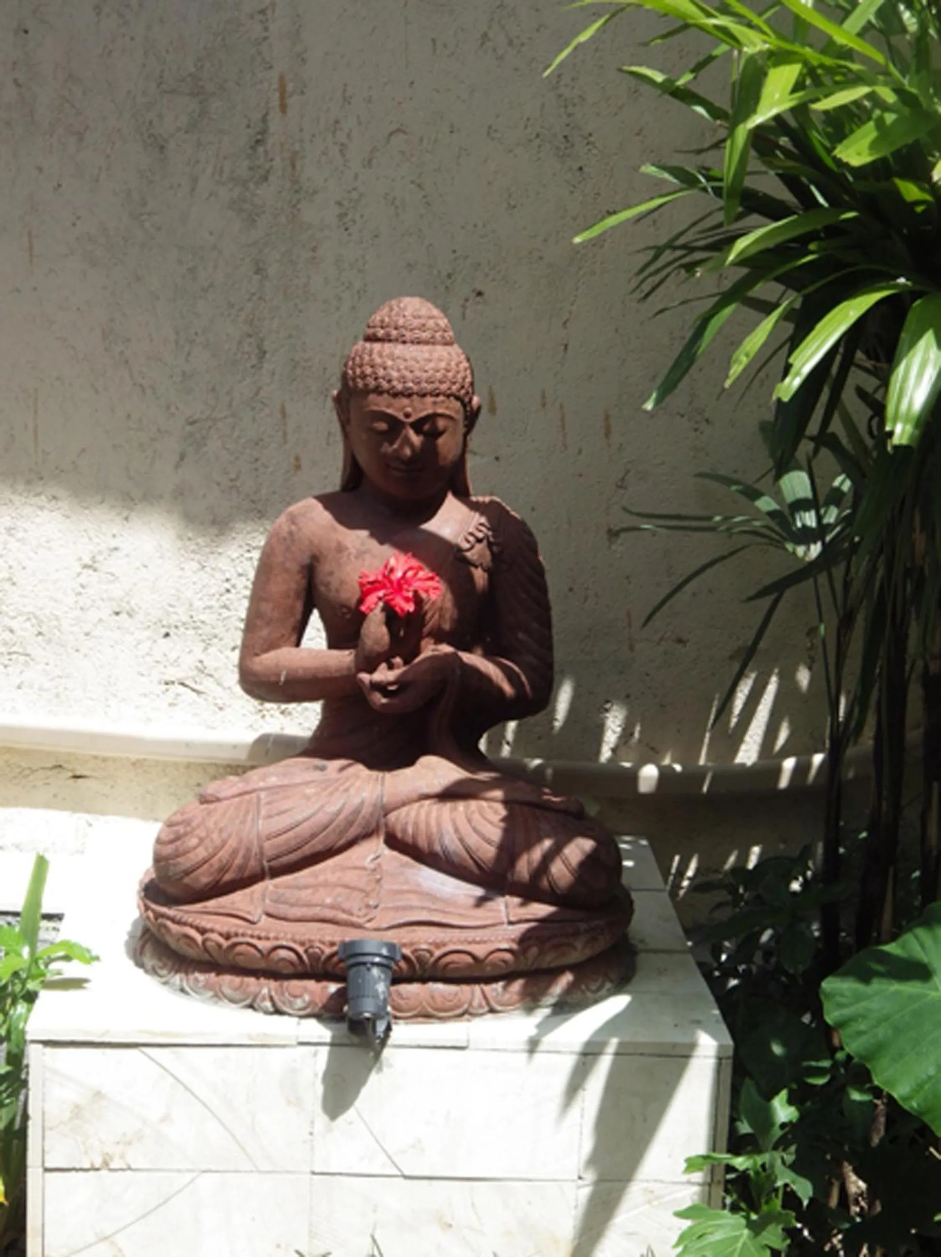 Garden in Lily Lane Villas