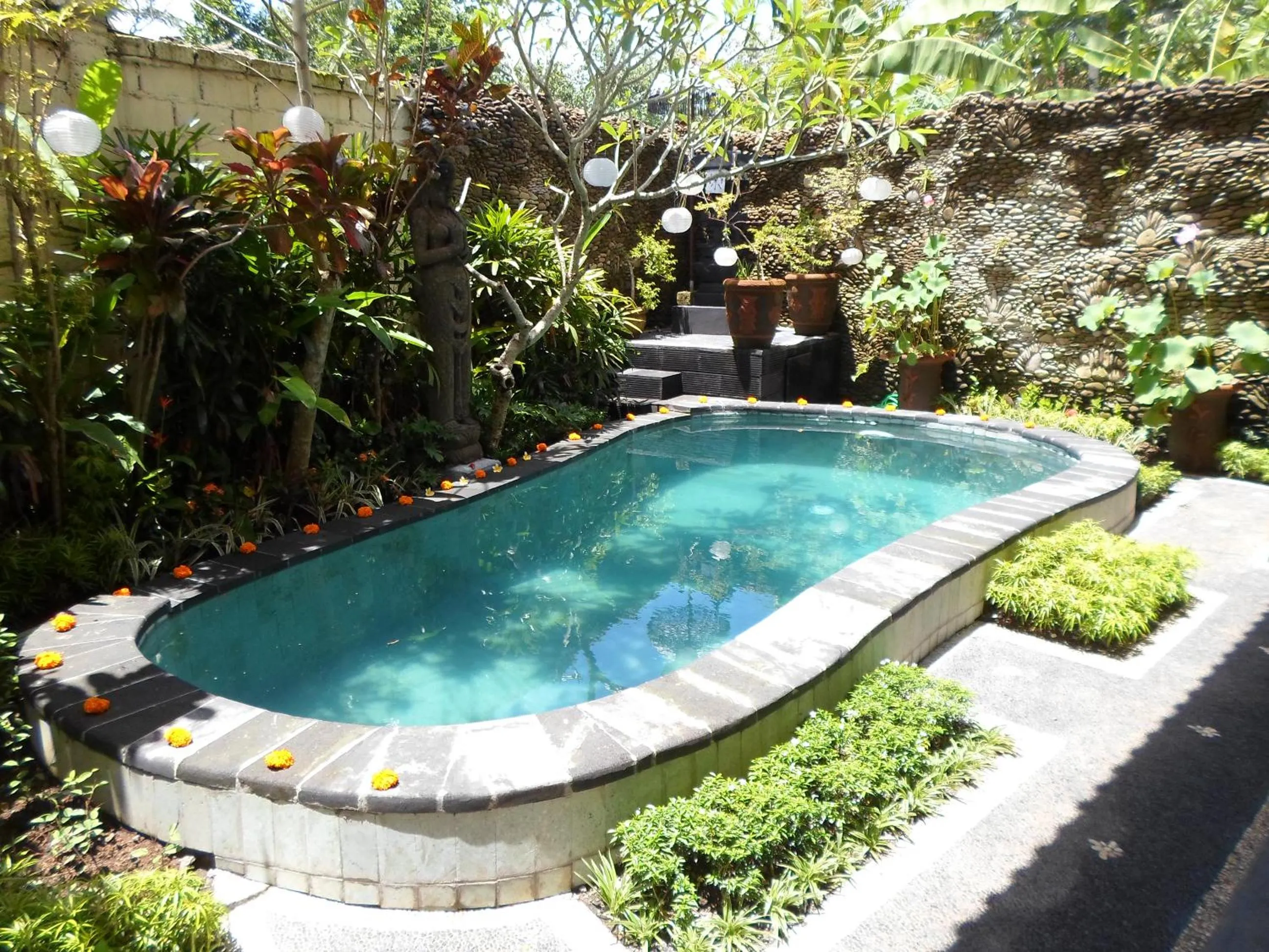 Swimming pool in Lily Lane Villas