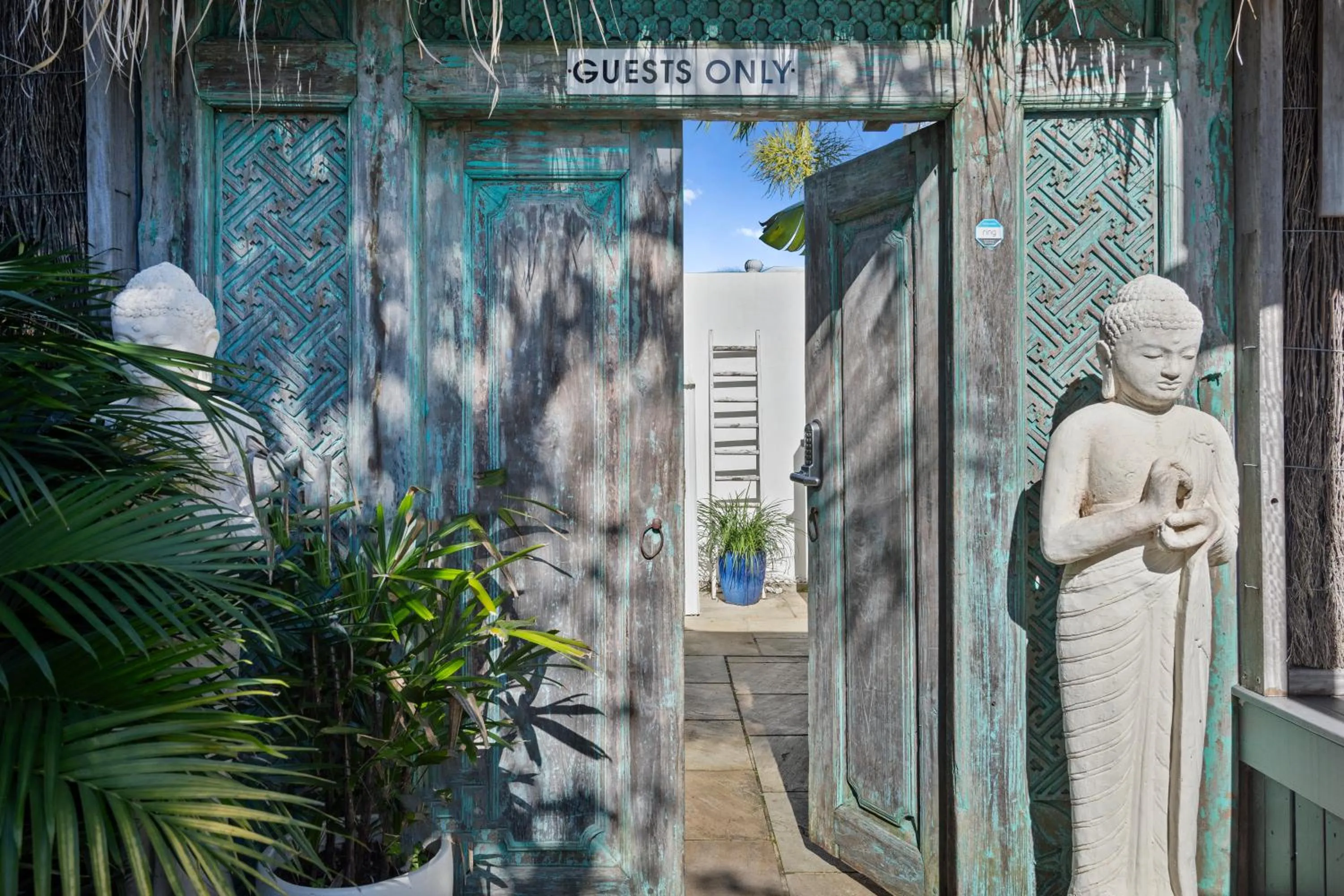 Garden in Azur Byron Bay