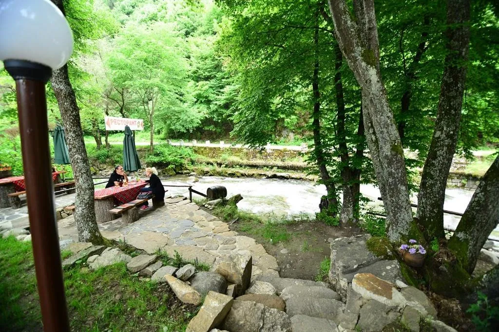 Natural landscape in Hotel Valdis