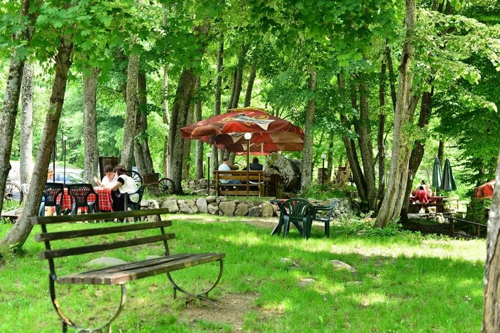 Garden in Hotel Valdis