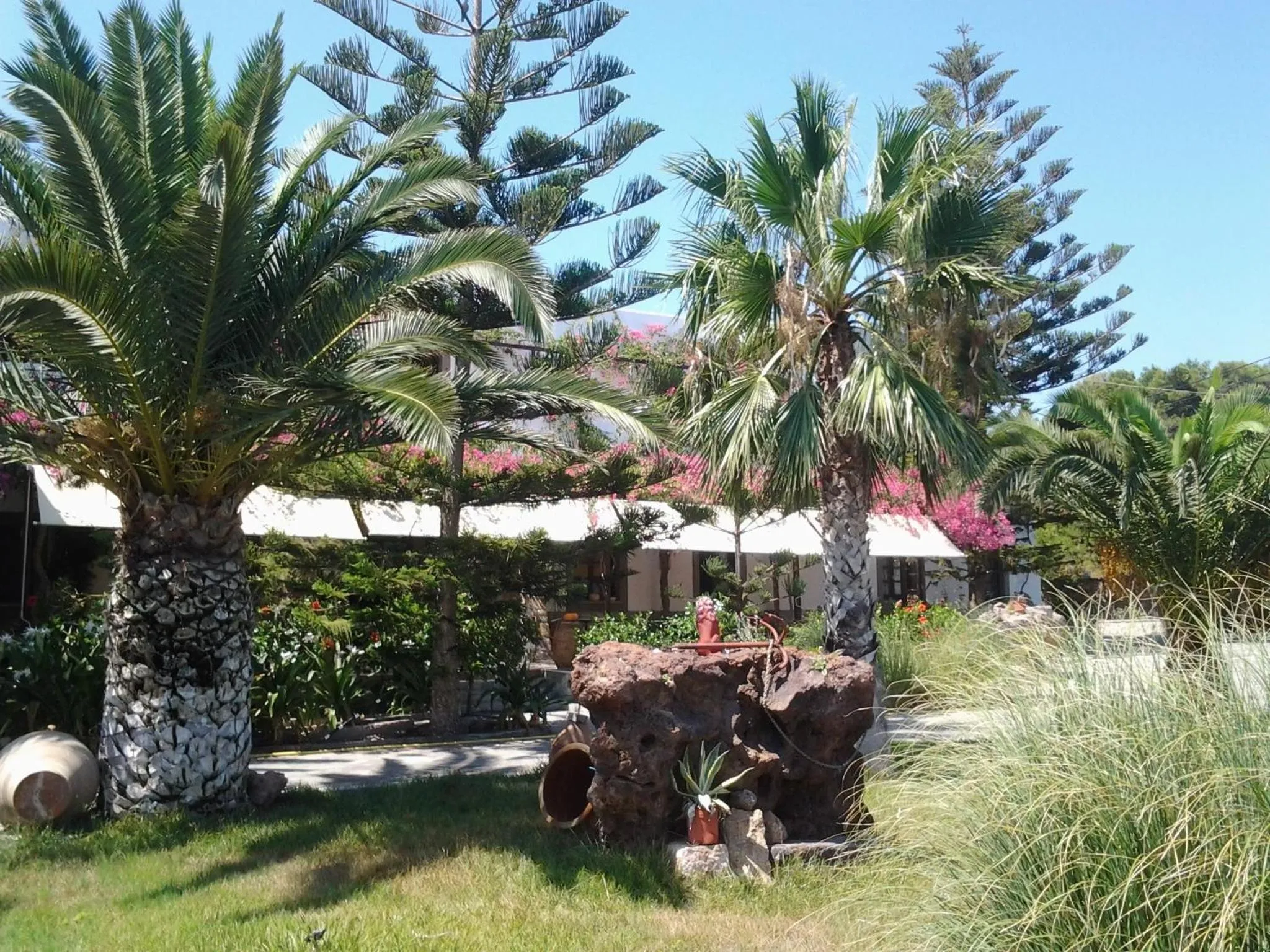 Garden in Asteri Hotel