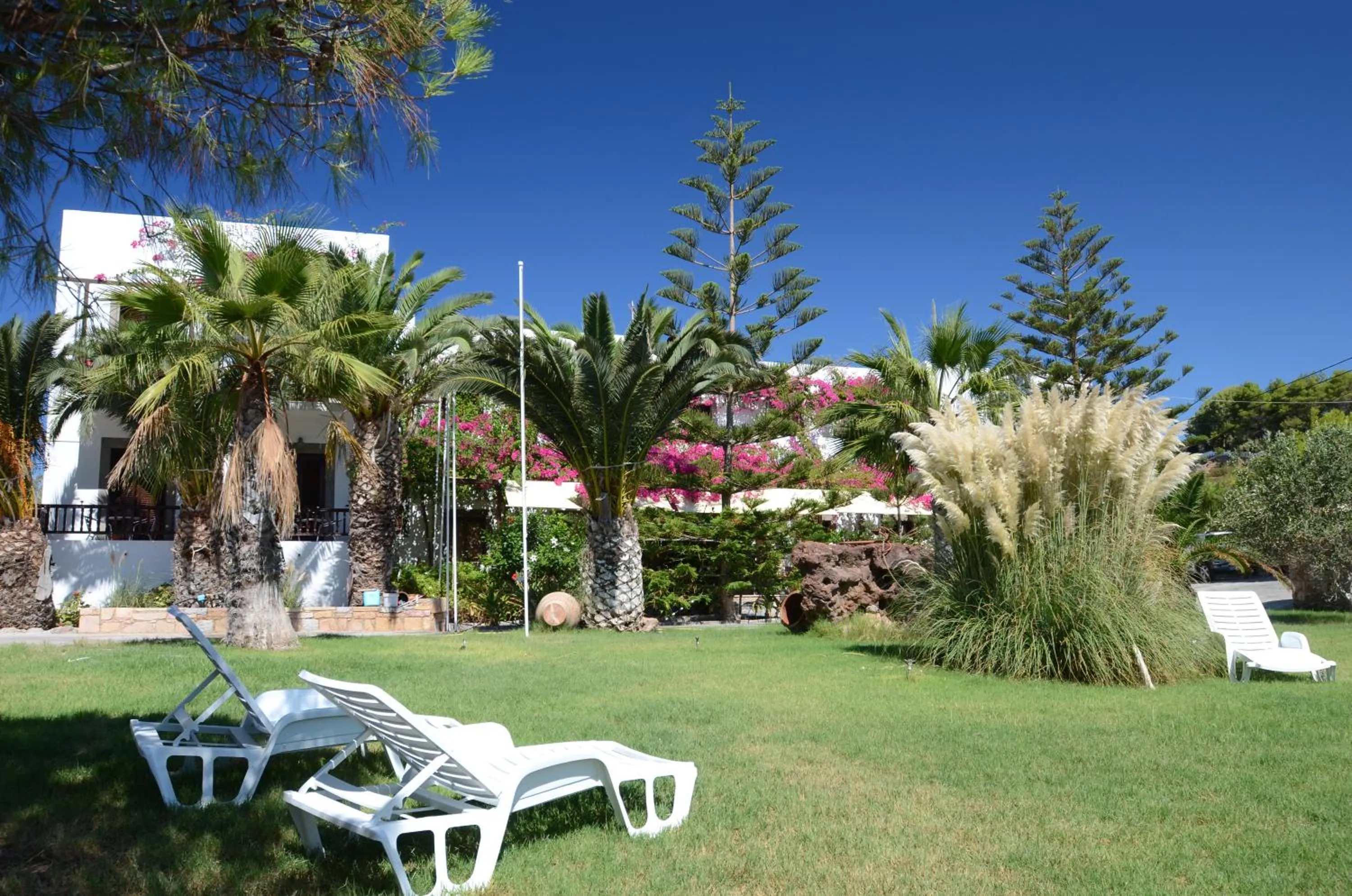 Garden in Asteri Hotel