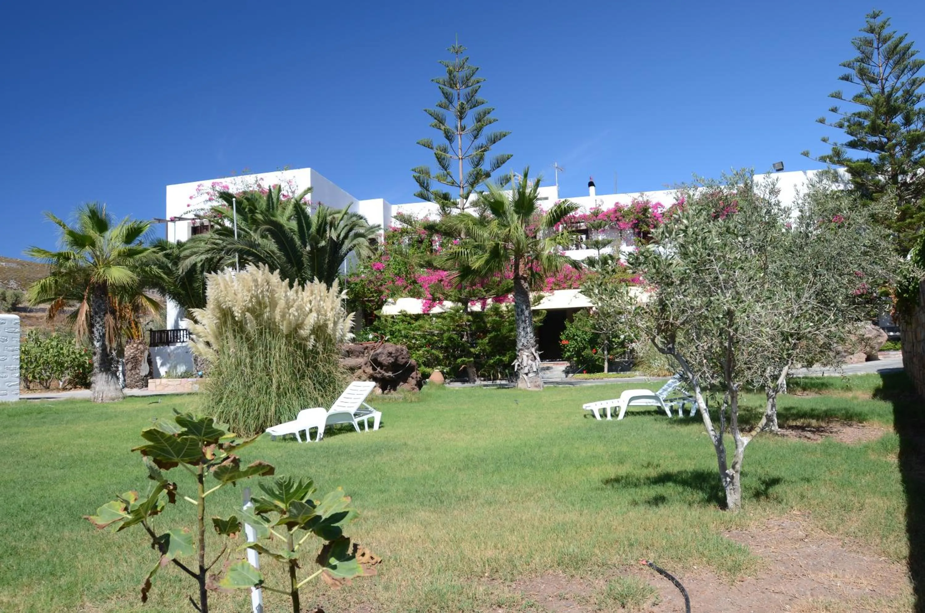 Garden in Asteri Hotel