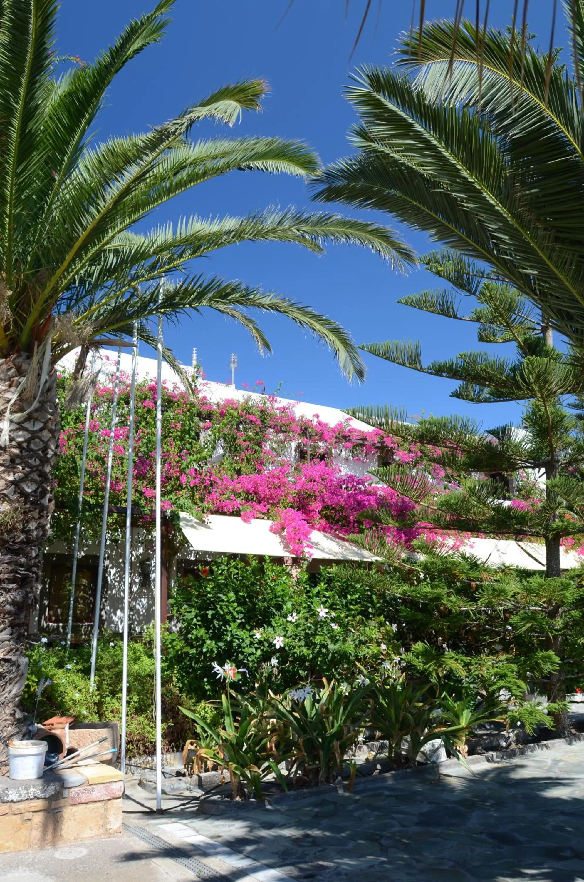 Garden in Asteri Hotel