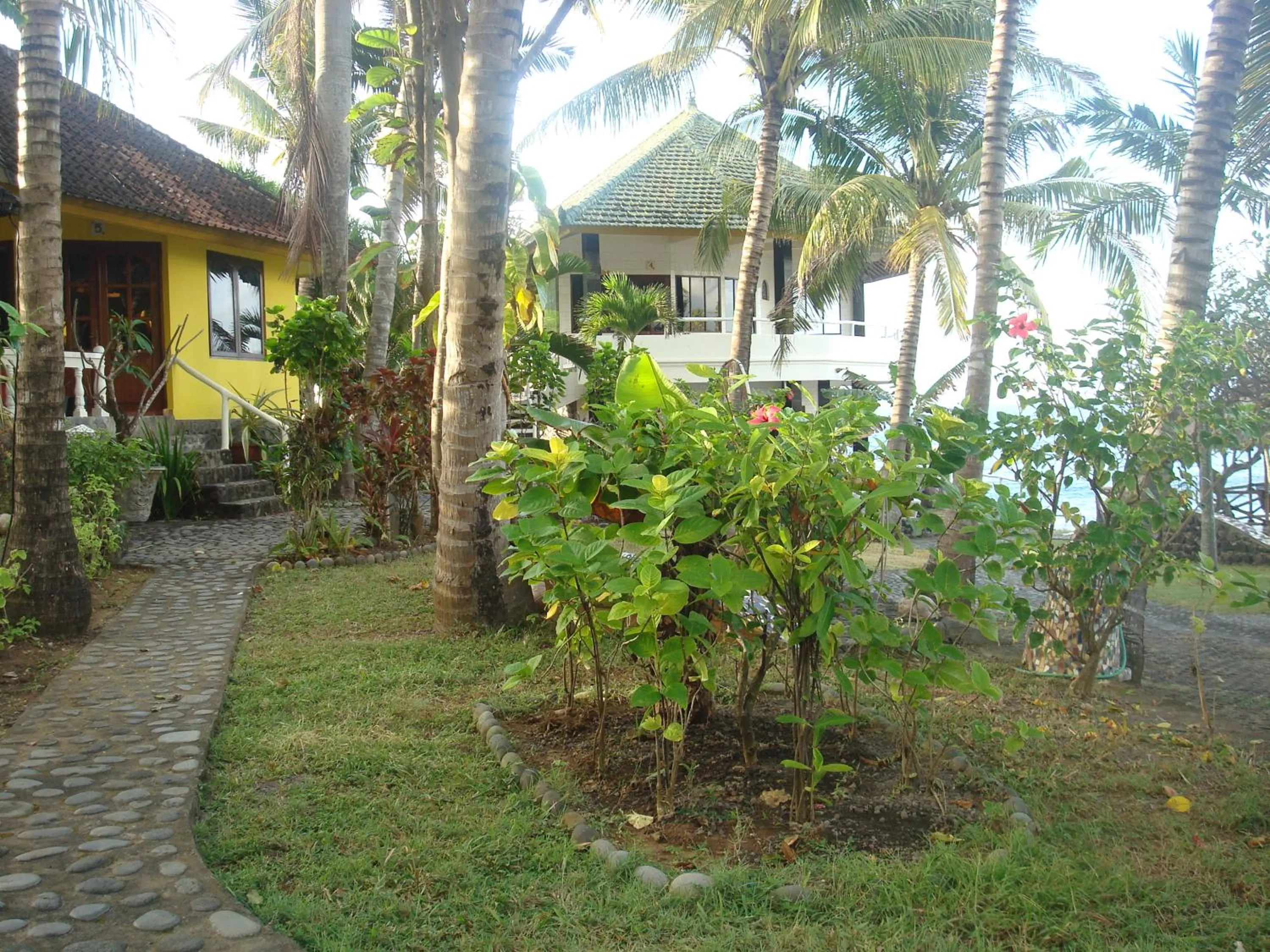 Garden in Villa Arjuna