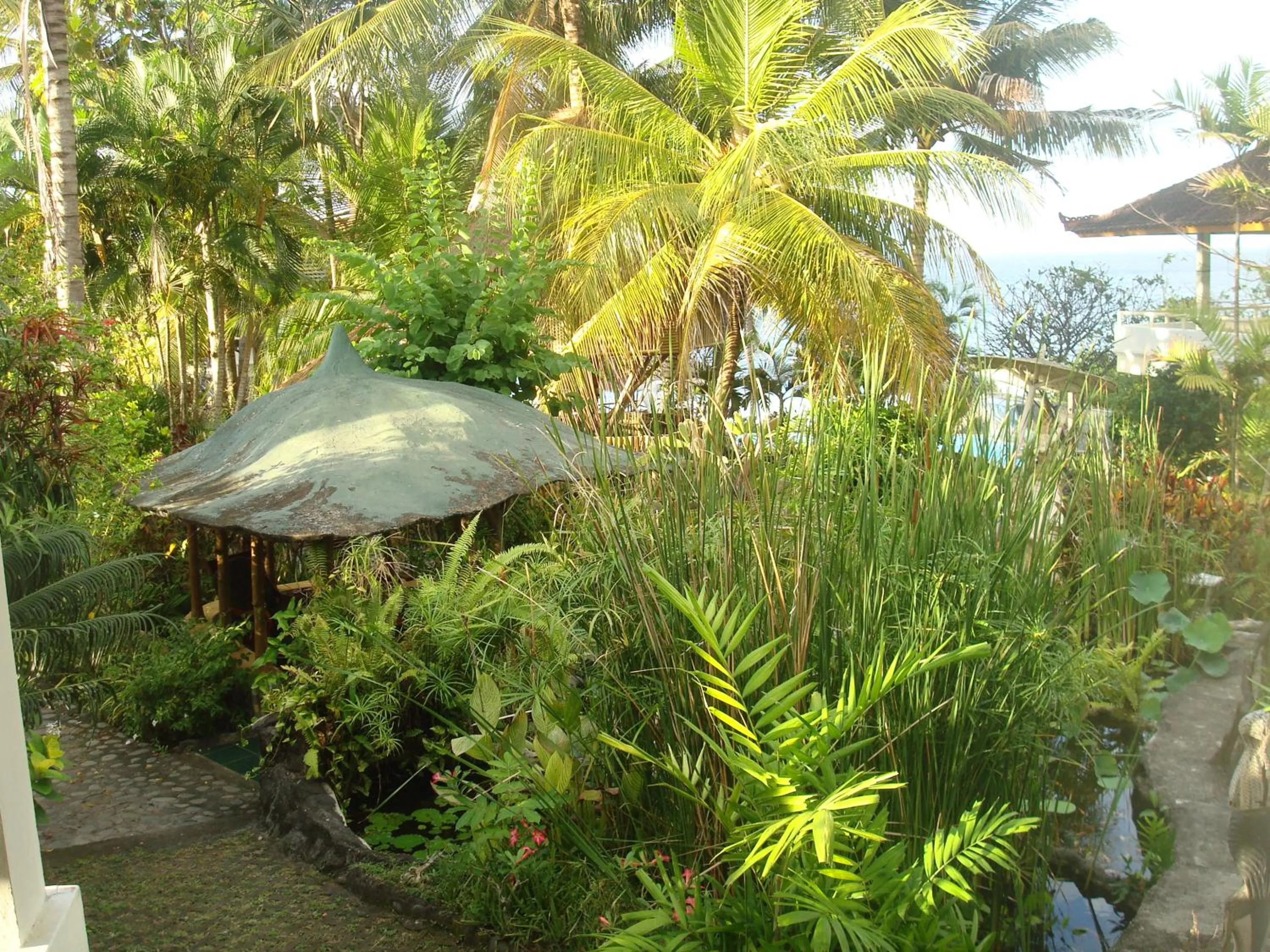 Natural landscape in Villa Arjuna