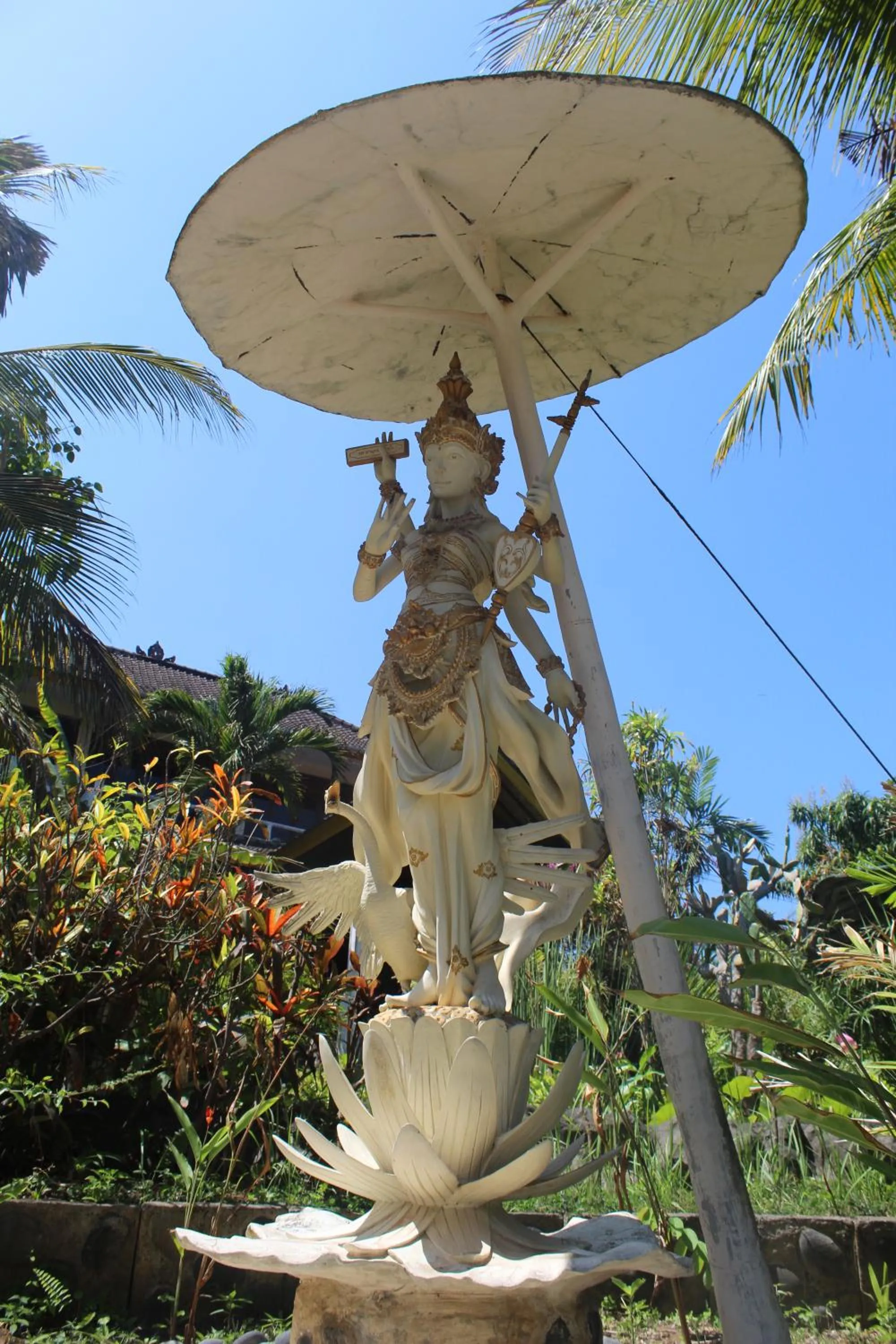 Garden in Villa Arjuna