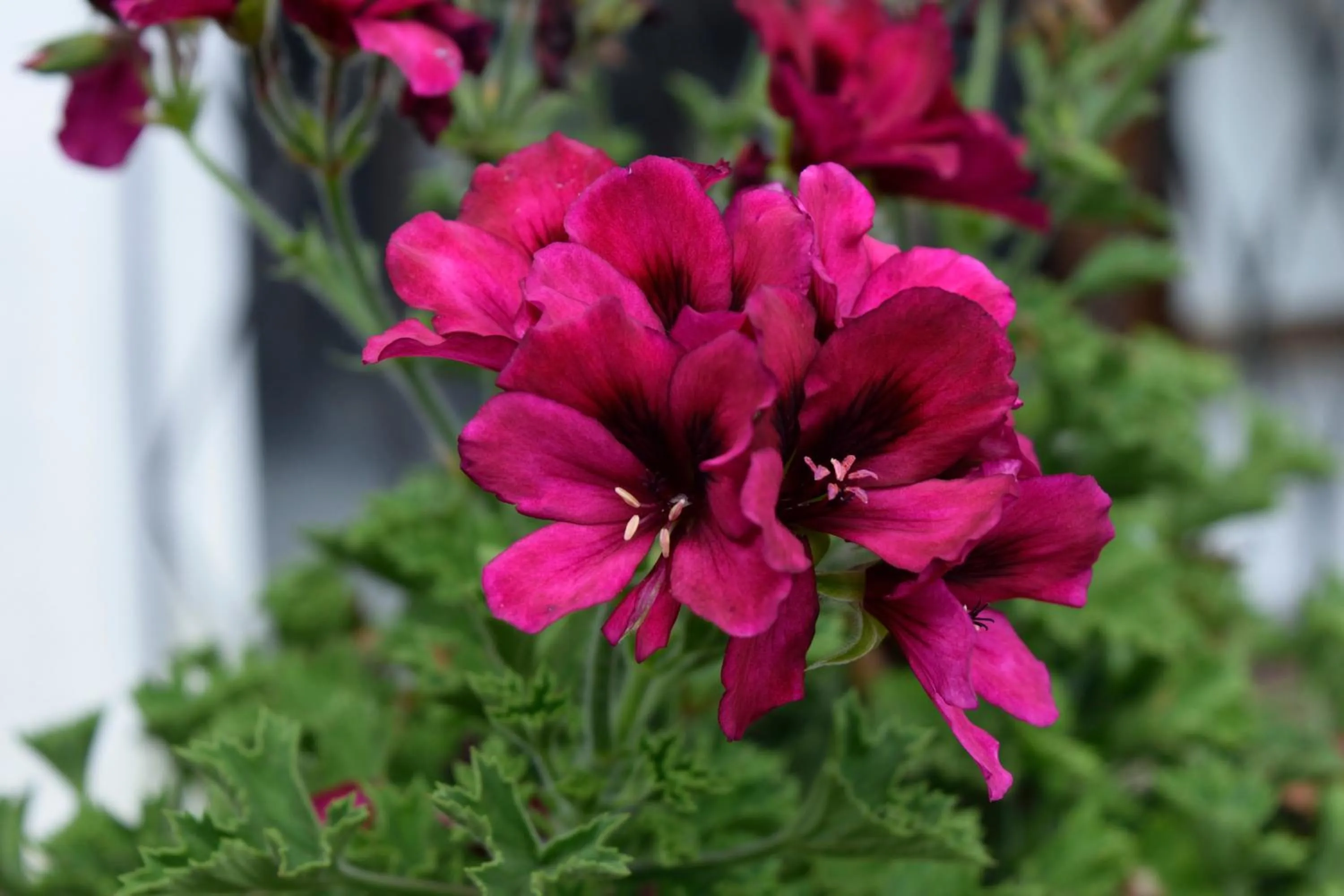 Off site in OH ESPAÑA!