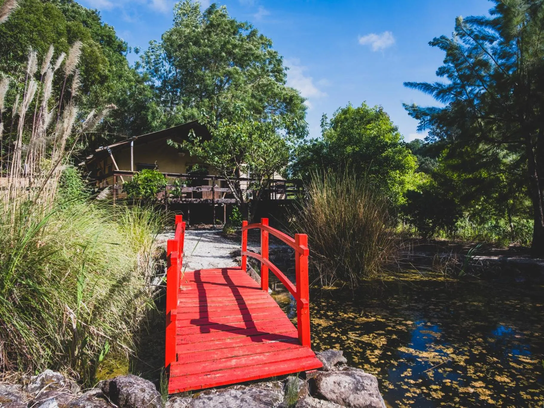 Garden in Quinta Japonesa