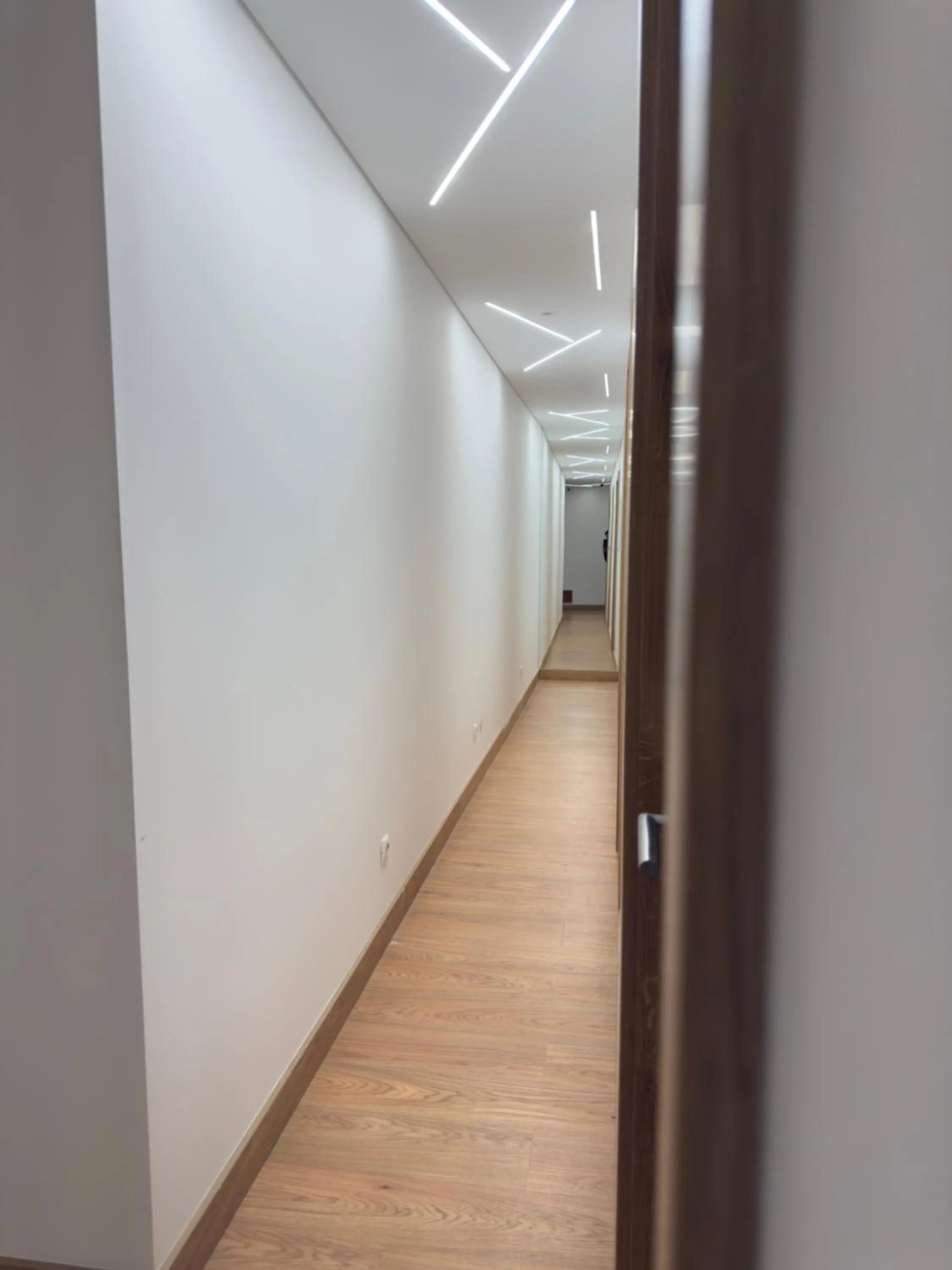 Area and facilities in Fiel Chef Alojamento Local