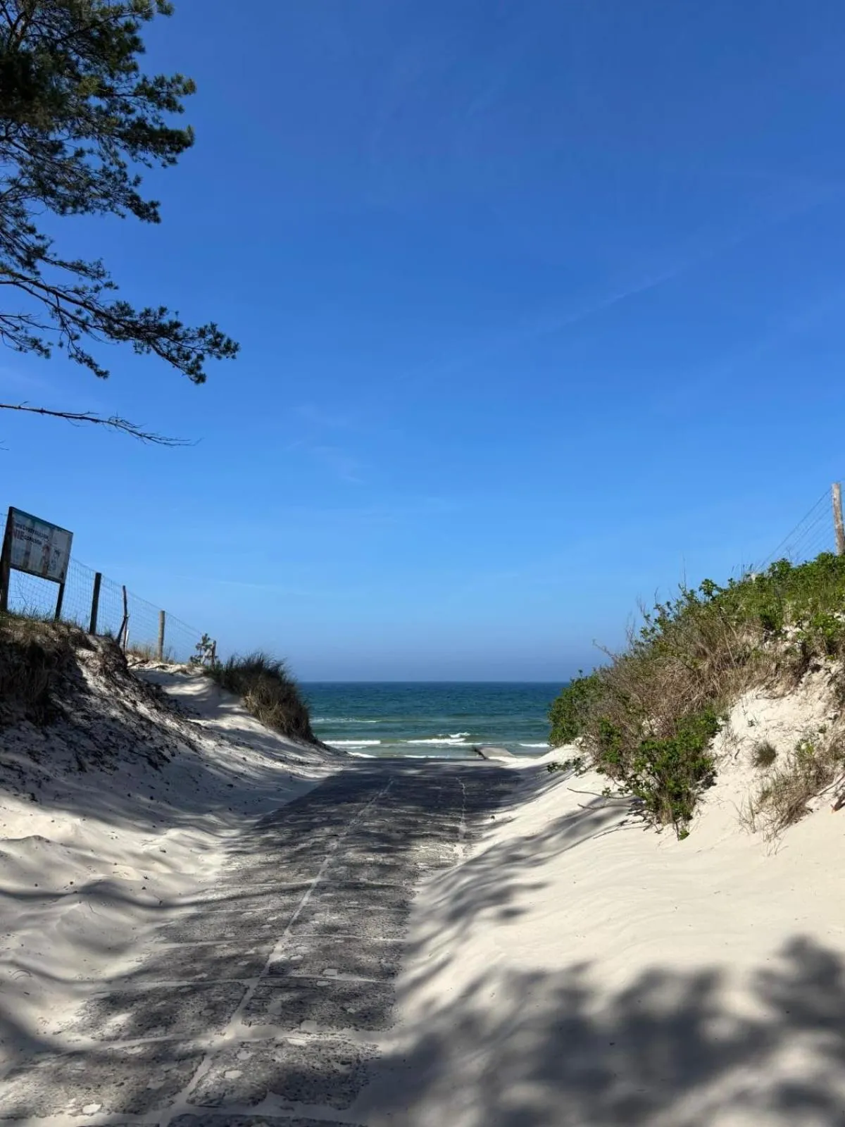 Pensjonat Dziki Zakątek